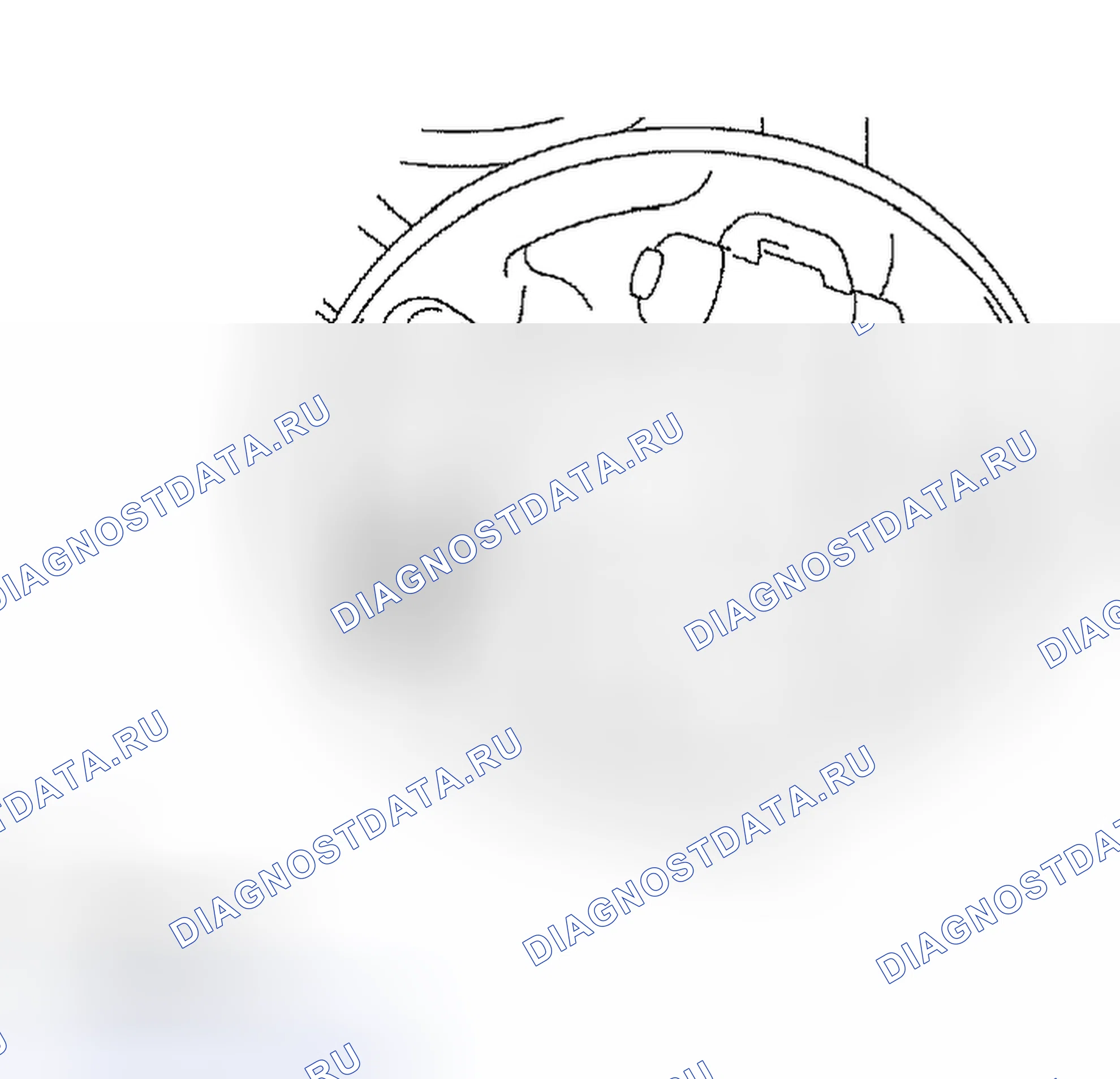 Рис. 10. Scion xB I