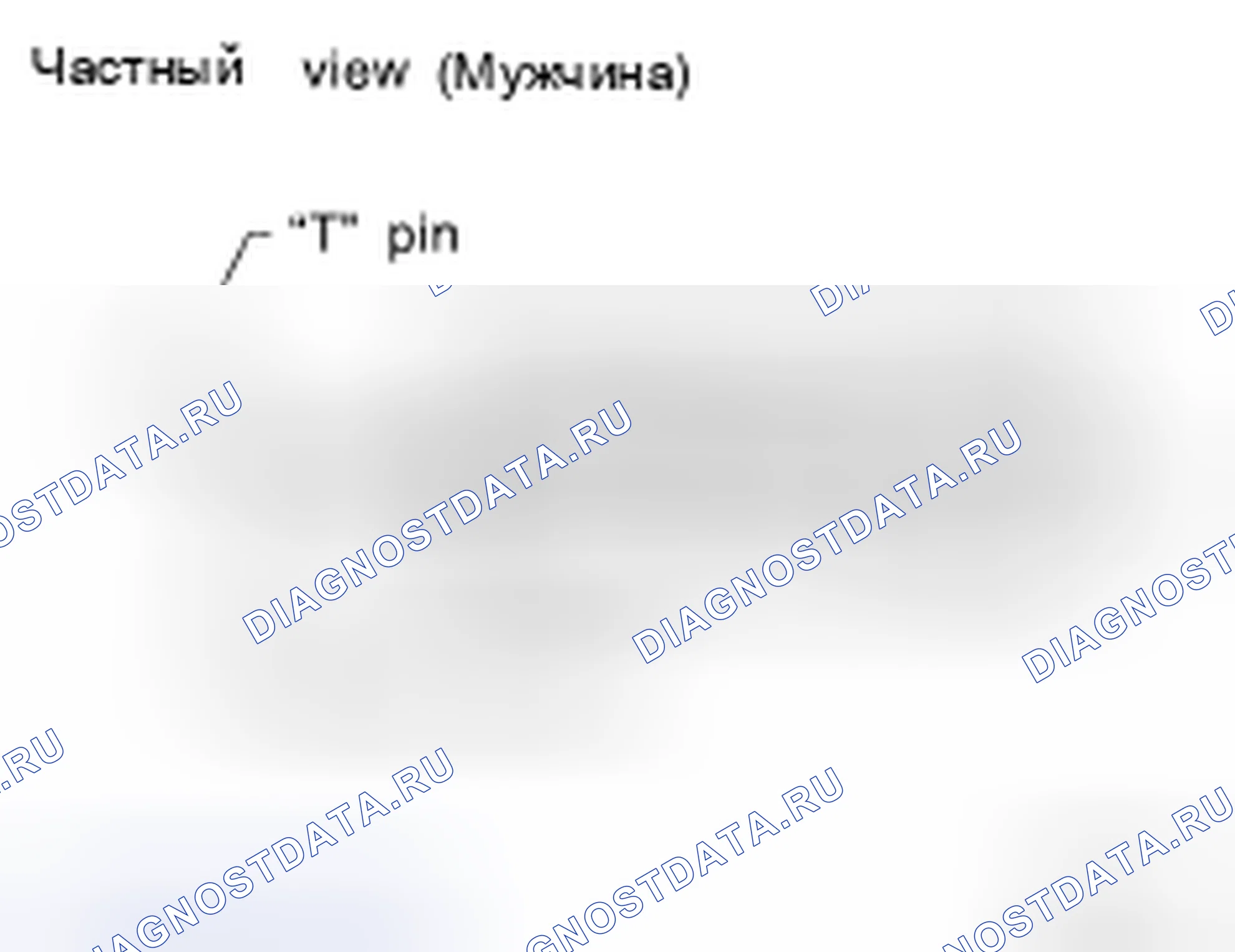 Рис. 56. Honda Shuttle I
