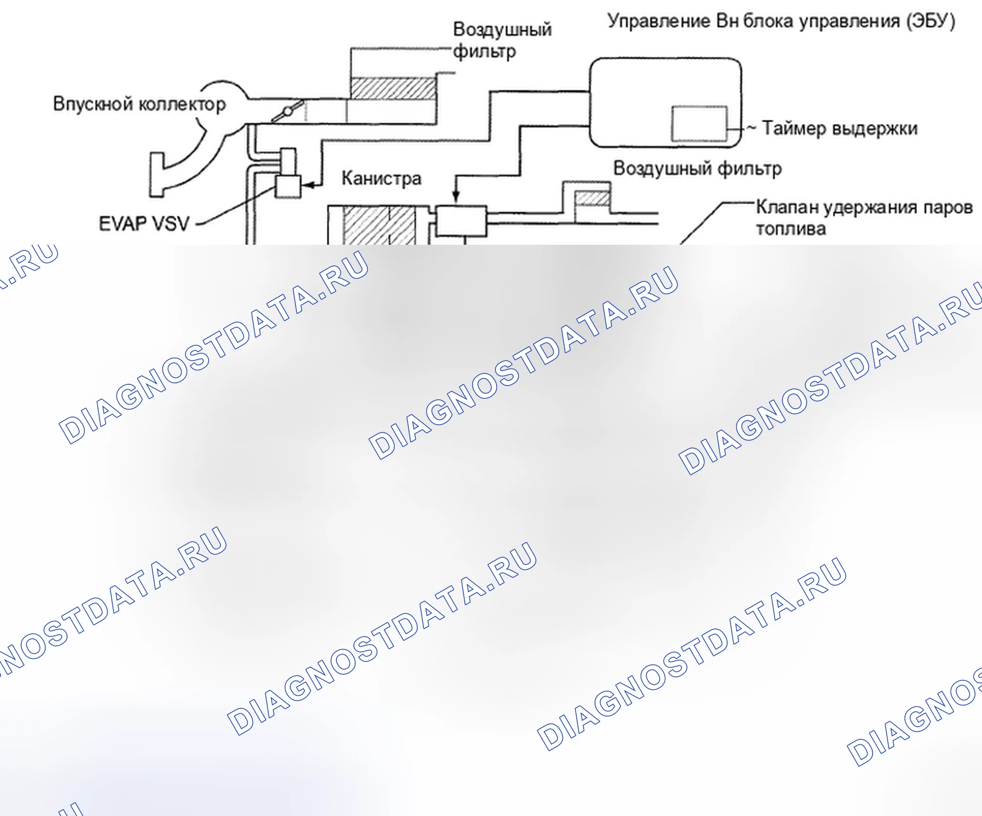 Рис. 92: Схема системы ограничения выбросов. Toyota Camry XV40