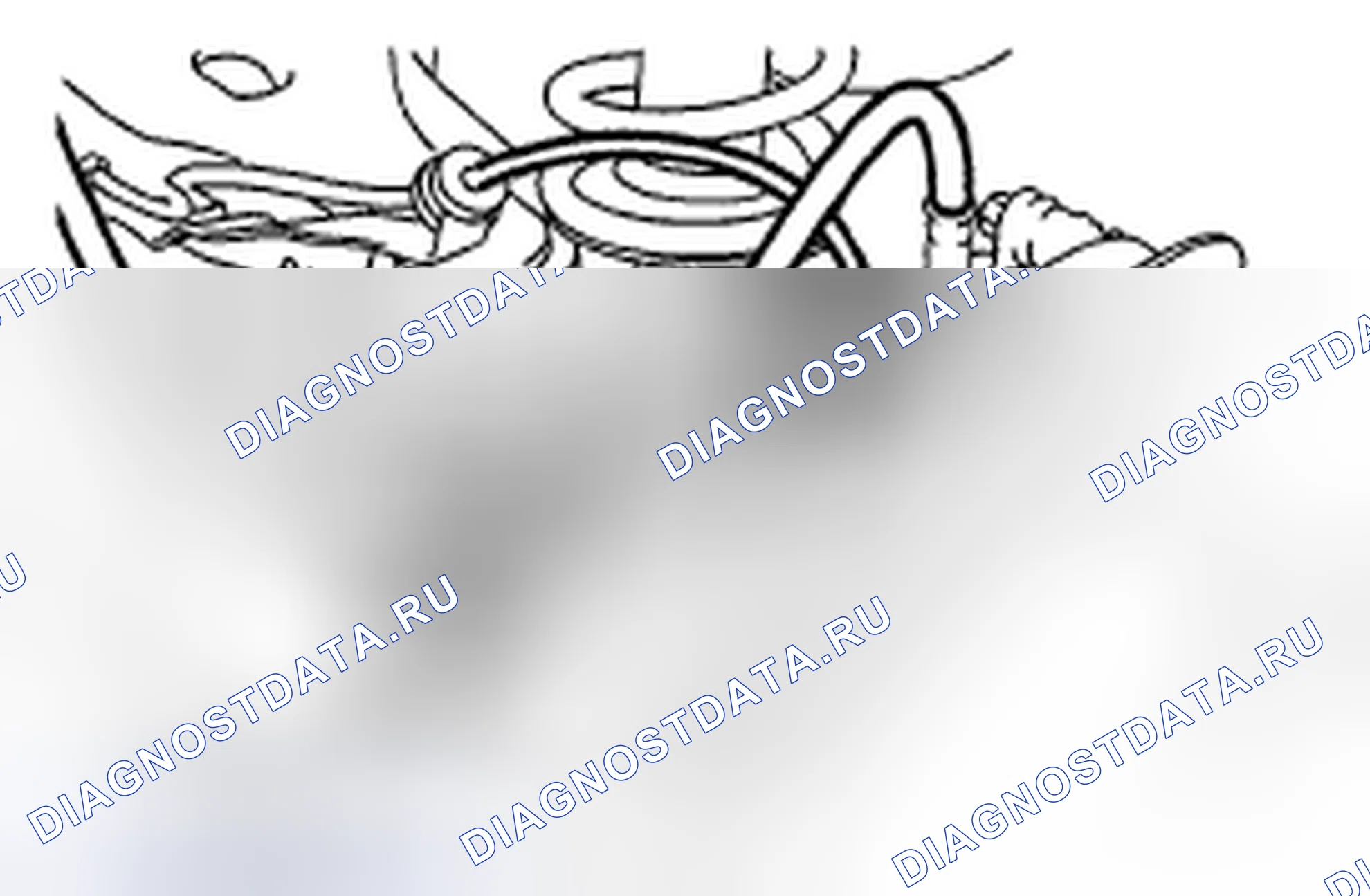 Рис. 86. Subaru Impreza GH