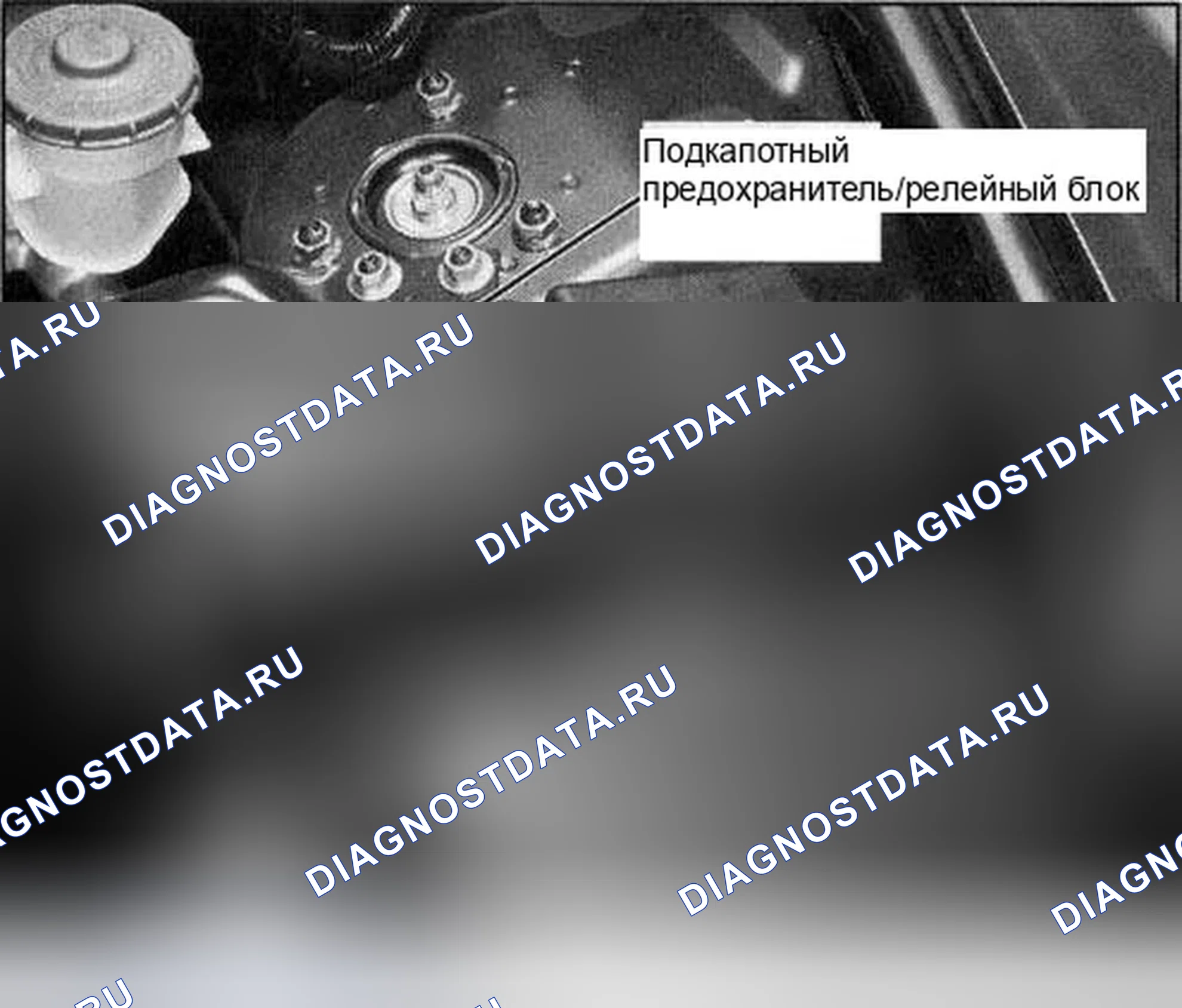 Рис. 174. Honda Accord VII рестайлинг