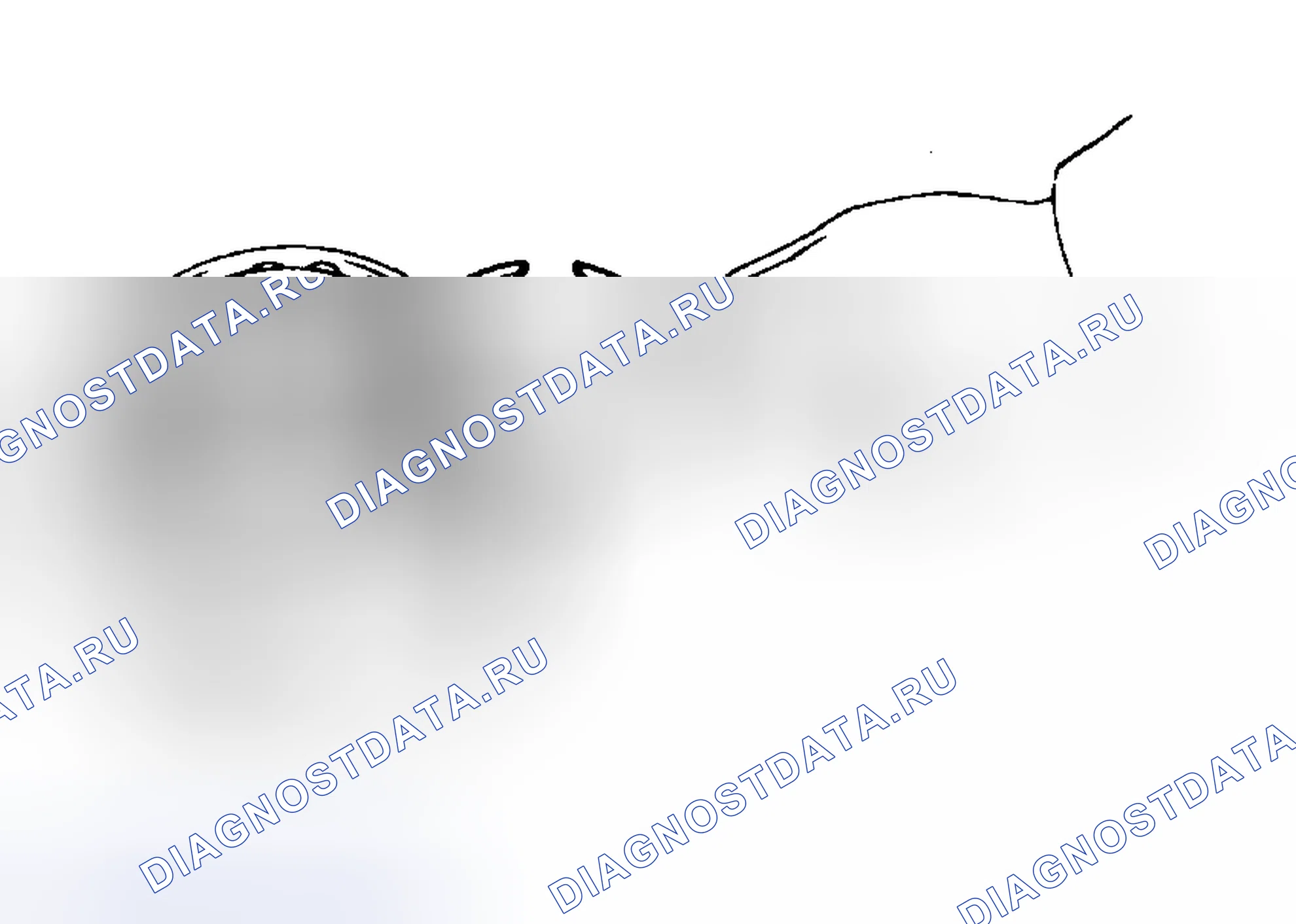 Рис. 94. Toyota Tacoma II