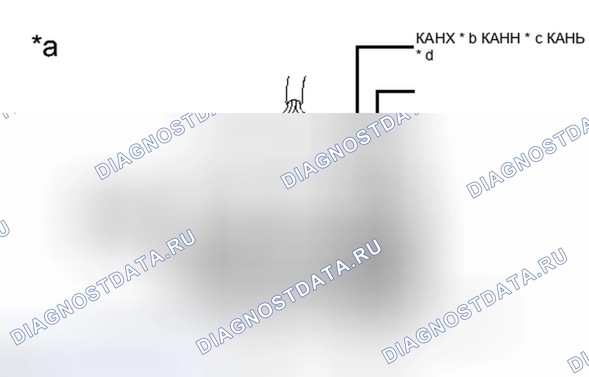 Рис. 31. Toyota Camry XV50
