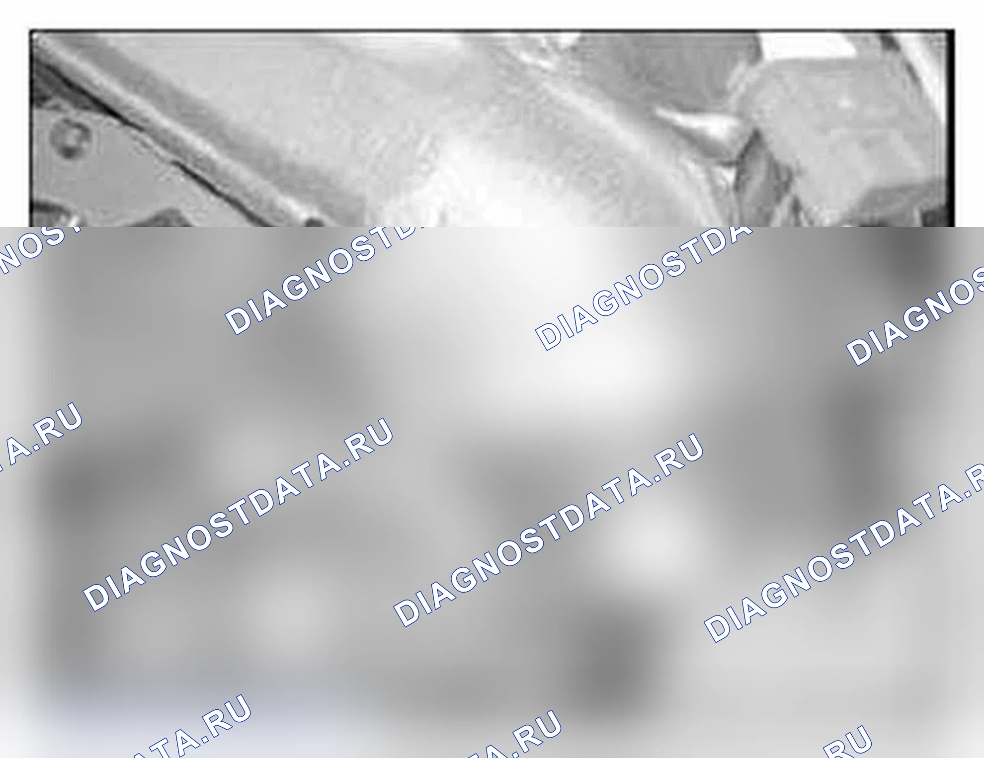Рис. 21. BMW X5 M E70