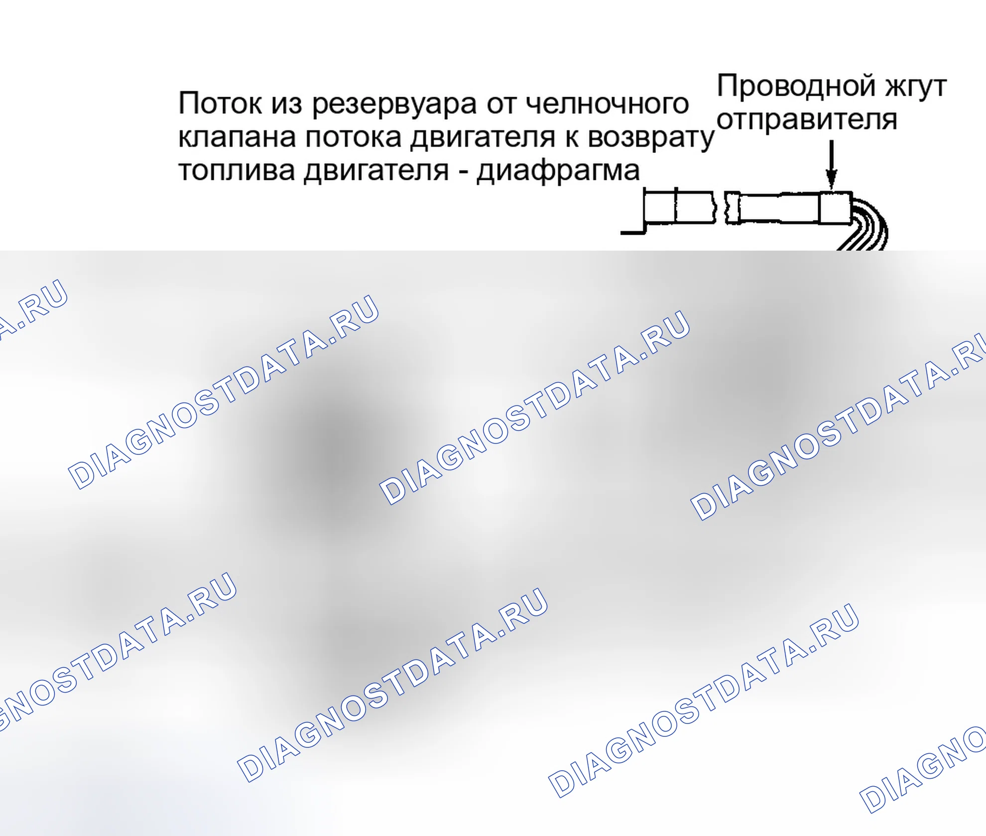 Рис. 1. Ford Cab & Chassis F350 