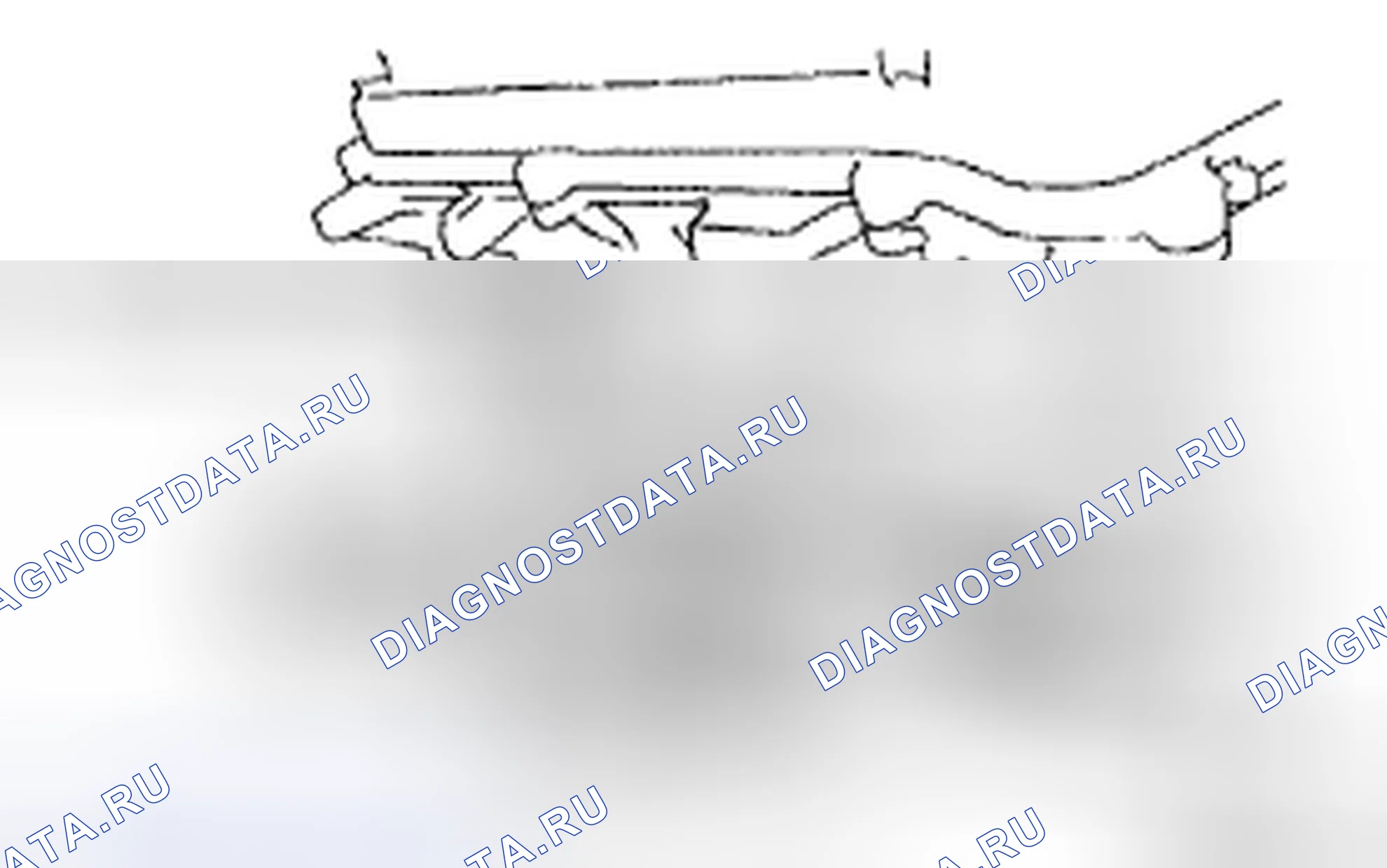 Рис. 552. Toyota 4Runner IV рестайлинг