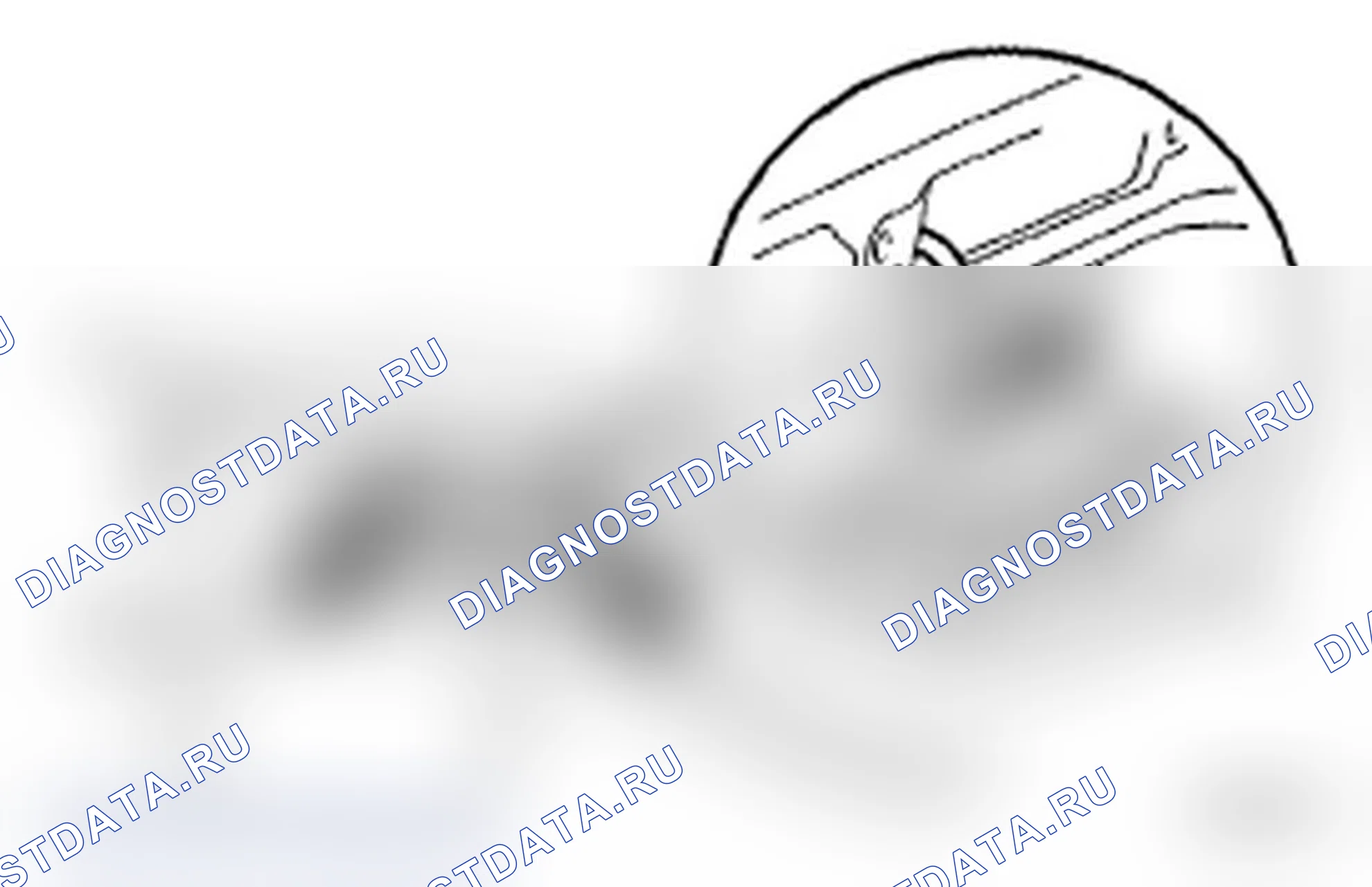 Рис. 167. Toyota Land Cruiser 200