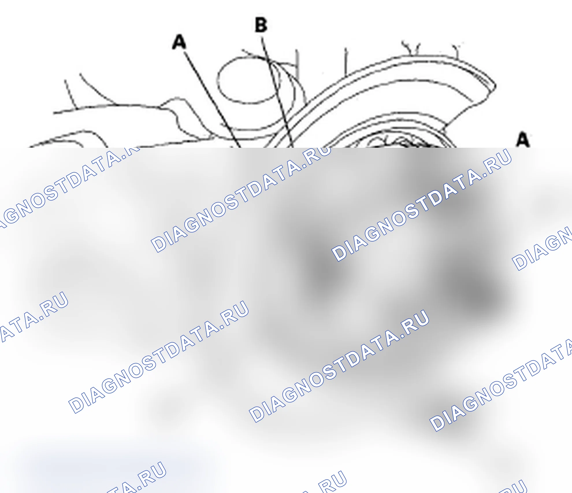 Рис. 64. Acura RDX I