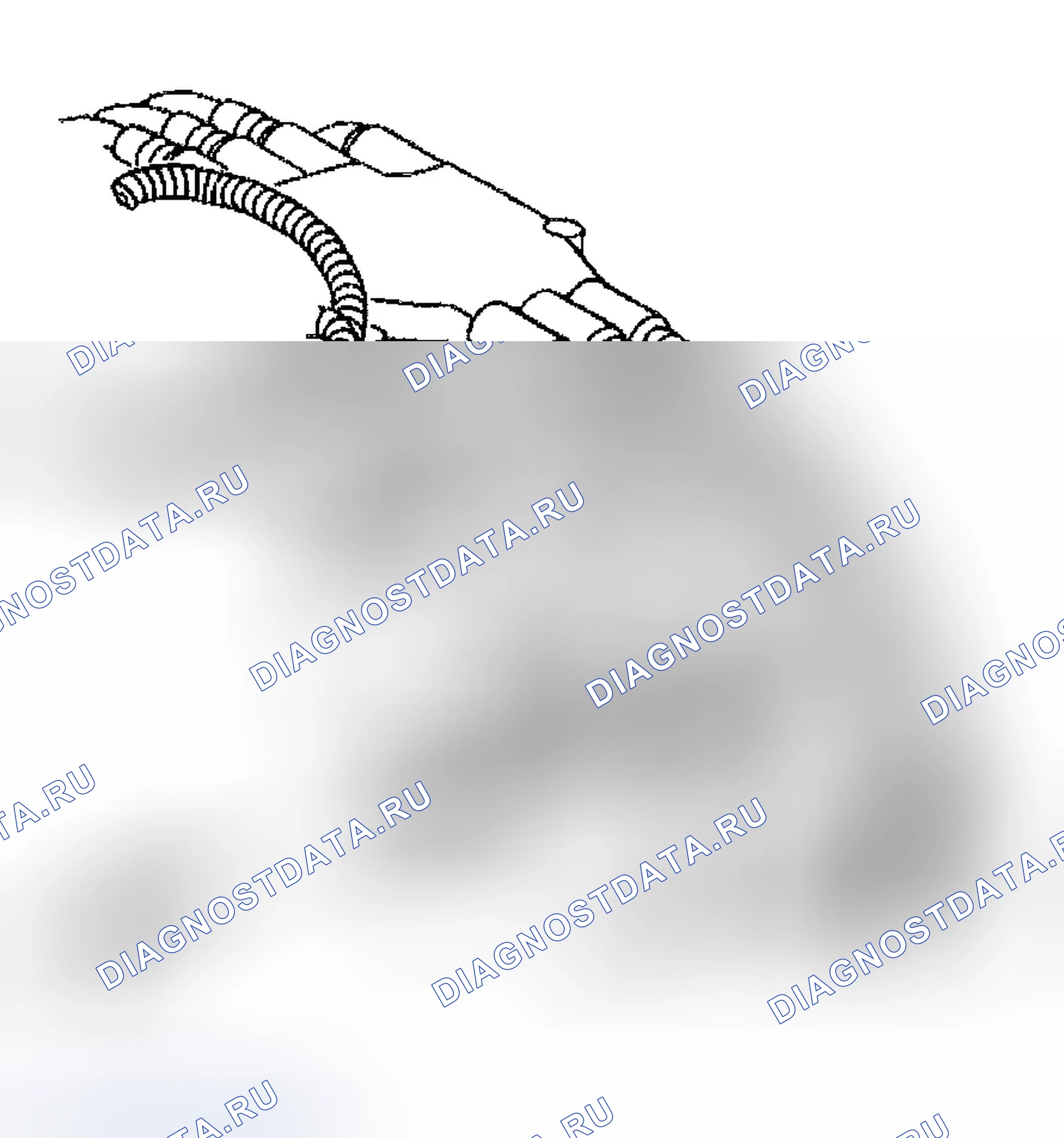 Рис. 241. Chevrolet Chevy Express H2500 