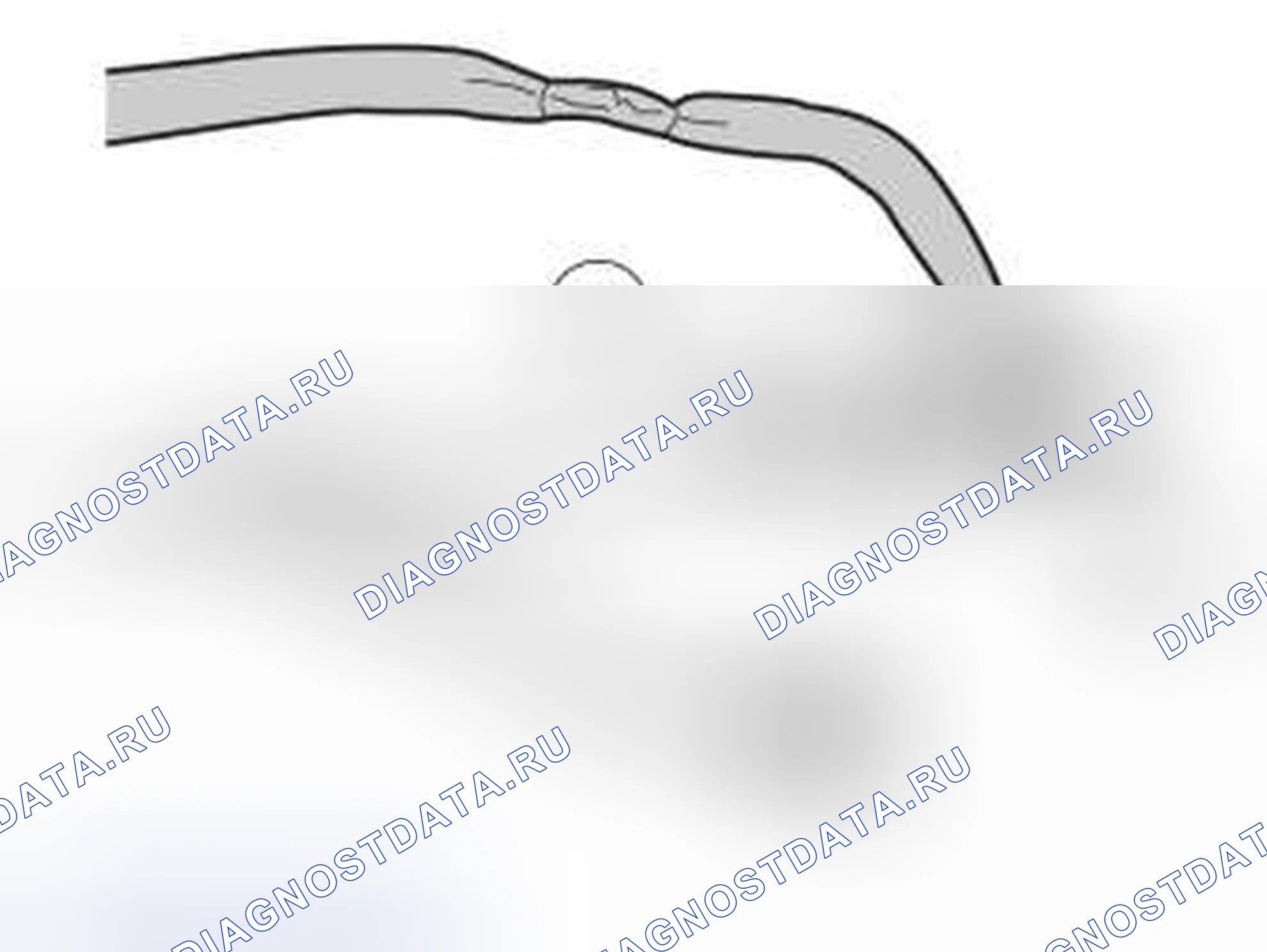 Рис. 790. Volvo S40 II