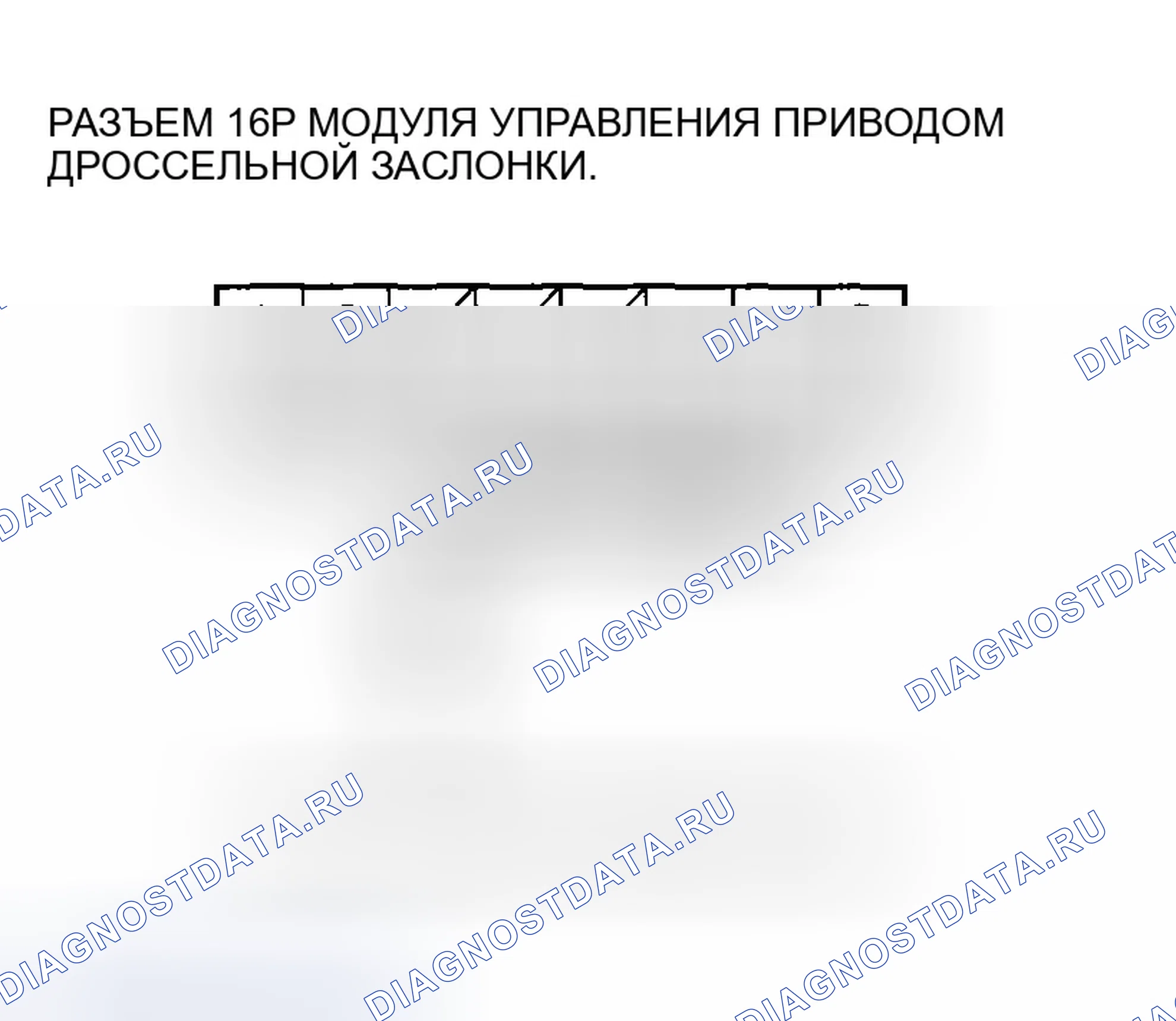 Рис. 223. Honda Accord VII рестайлинг