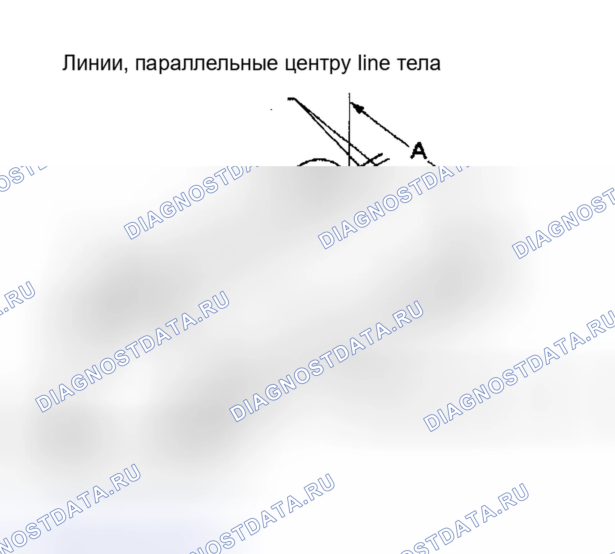 Рис. 6. Nissan Altima L31