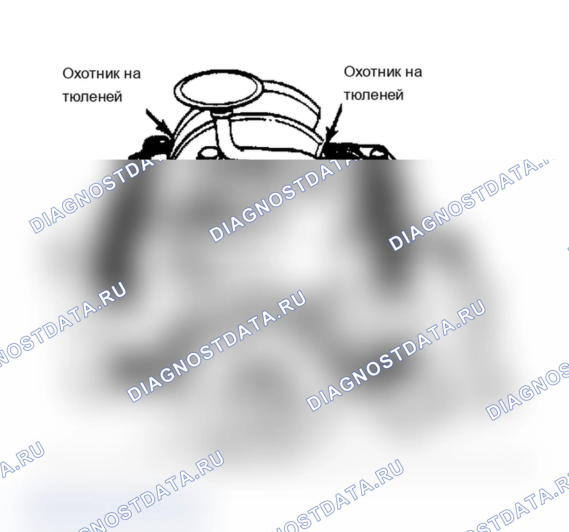 Рис. 10. Dodge Dakota Shelby 