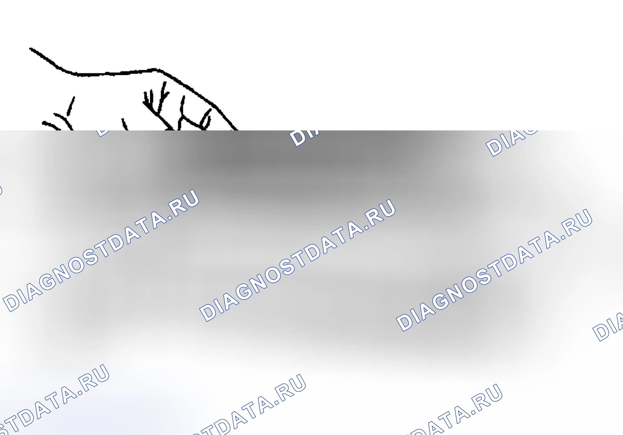 Рис. 211. Hyundai Venue I