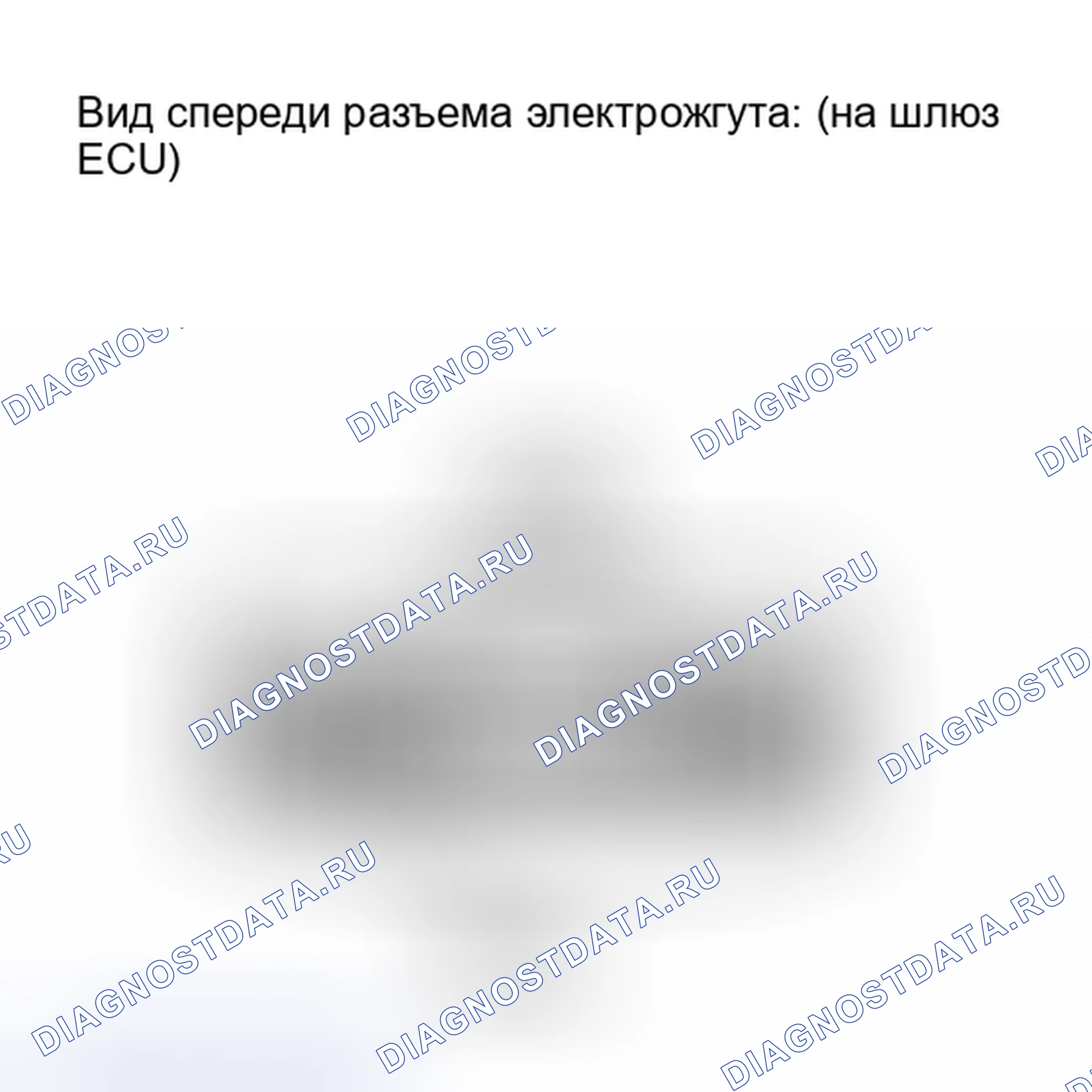 Рис. 138. Lexus IS F I