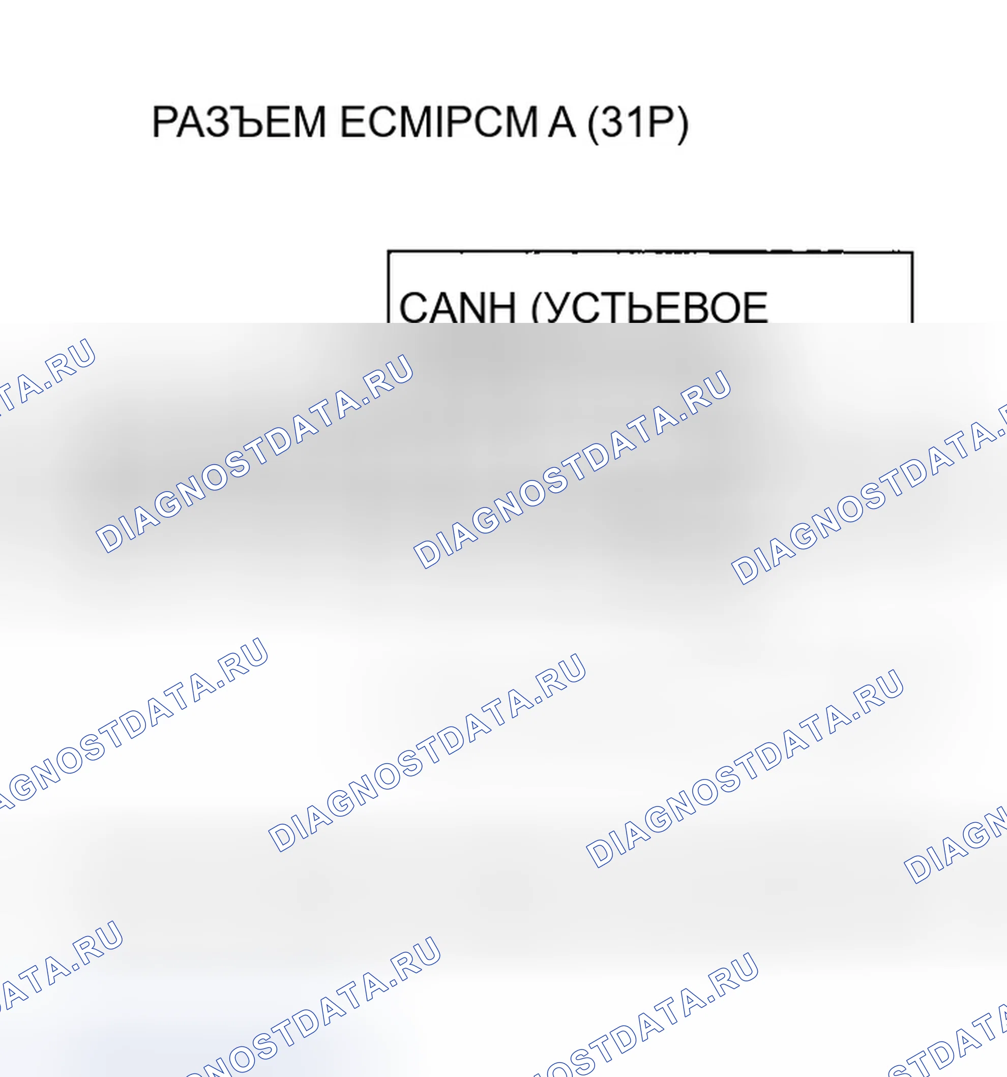 Рис. 646. Honda Accord VII рестайлинг
