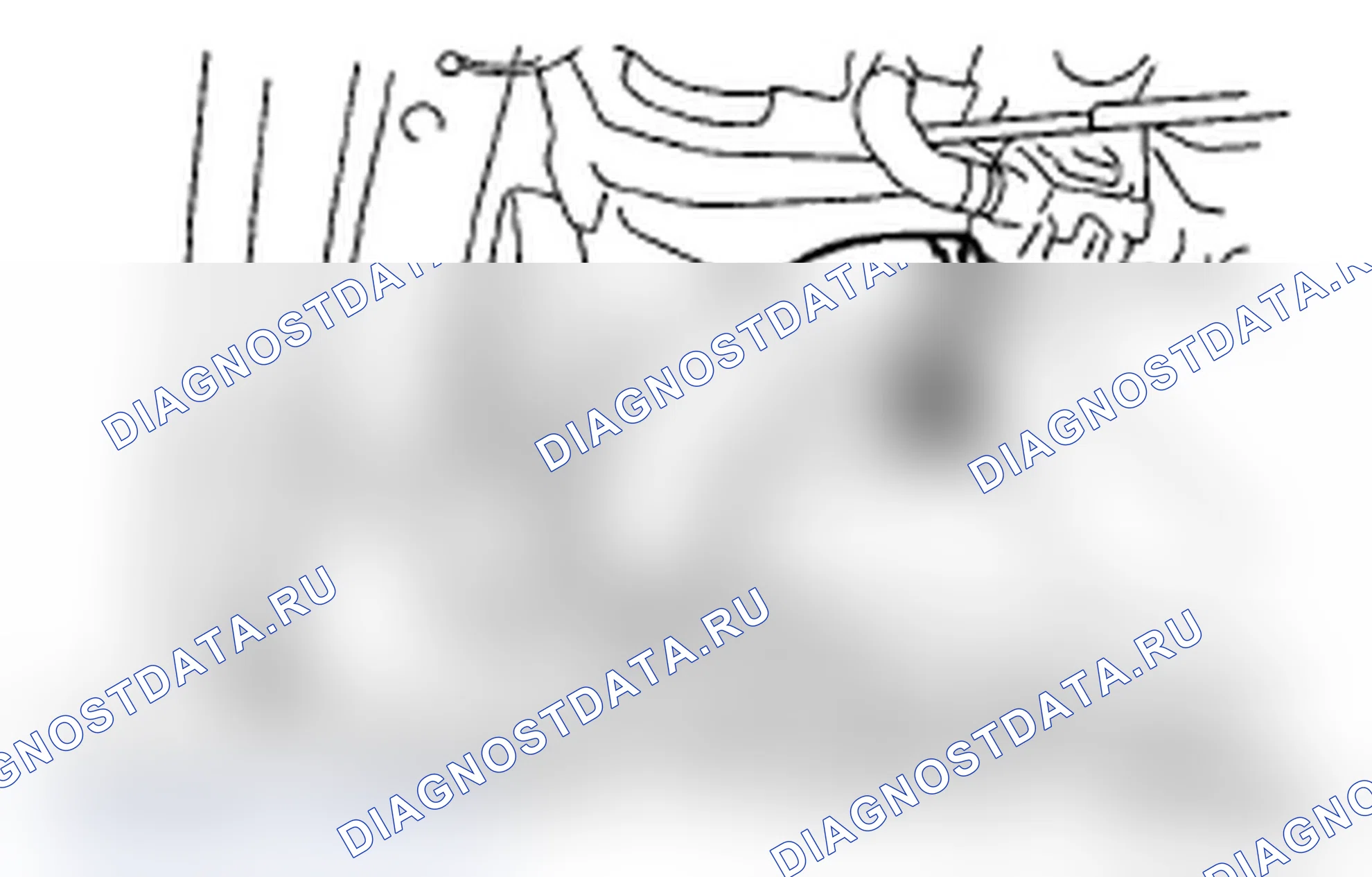 Рис. 27. Subaru Impreza WRX GD/GG рестайлинг 2