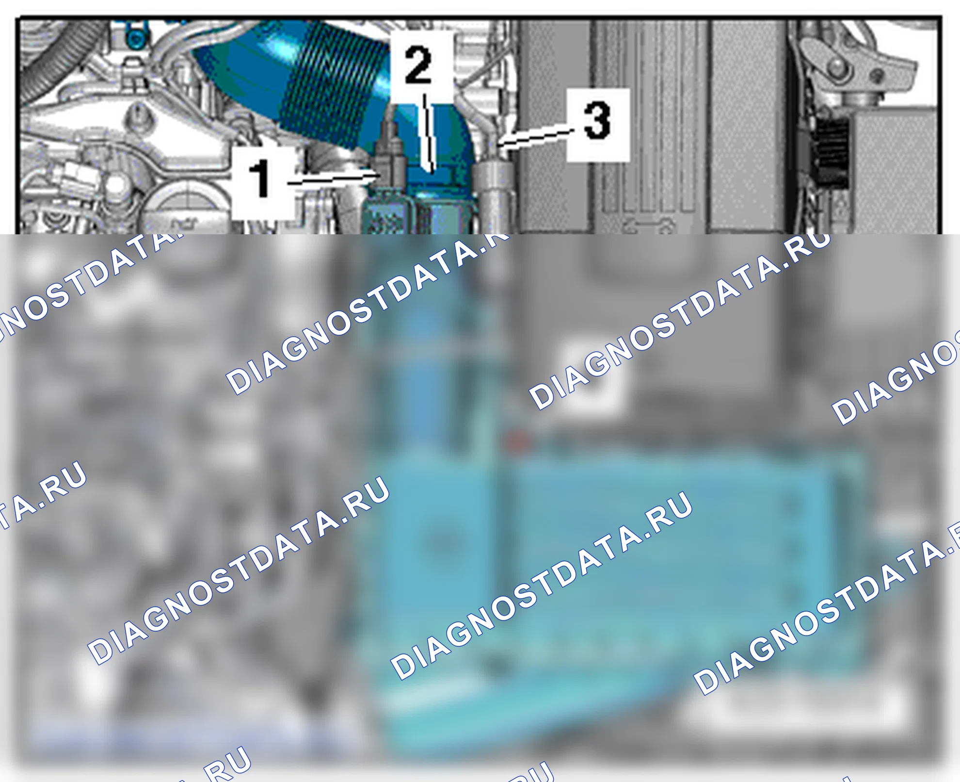 Патрубки системы охлаждения (4-цил. дизельный двигатель (1,6 л 4V, TDI Common Rail)). SEAT Altea I
