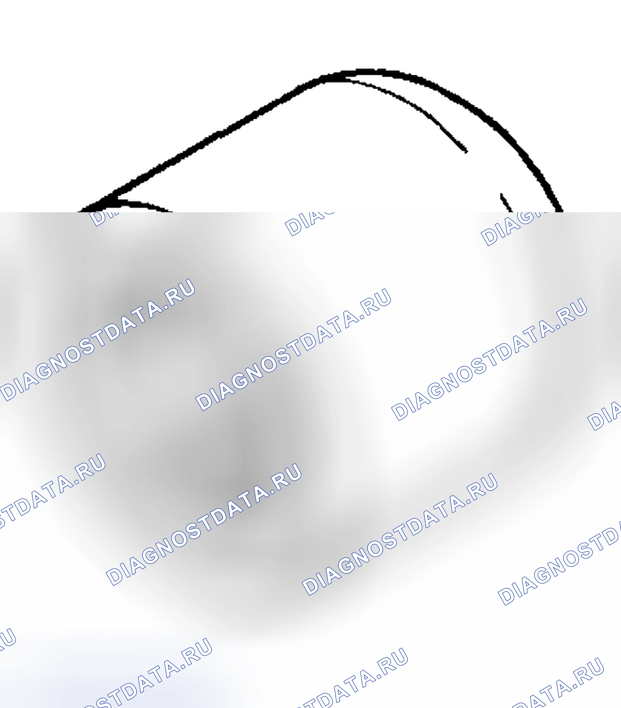 Рис. 20. Haval Chitu I