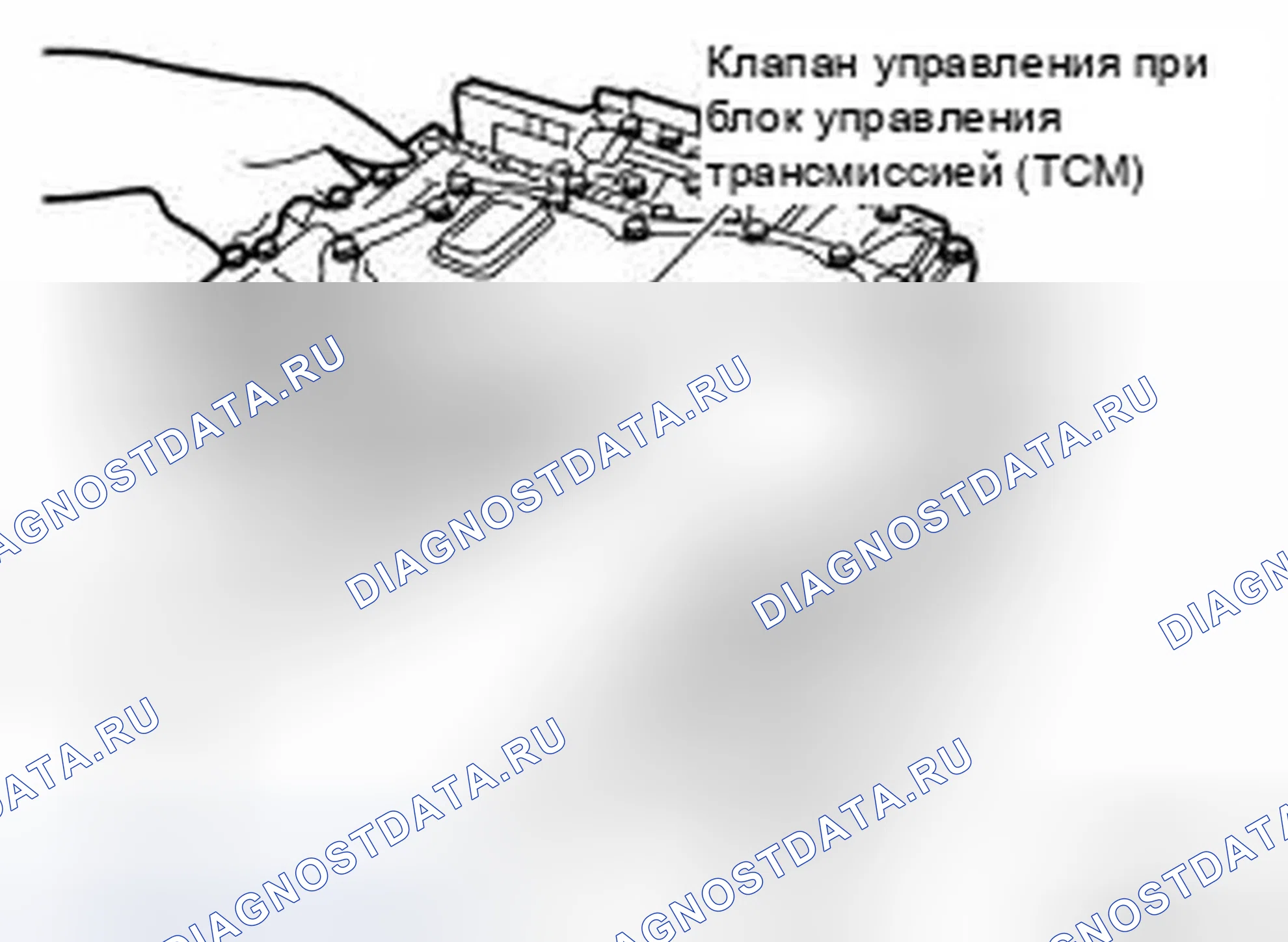 Рис. 189. Infiniti EX35 I