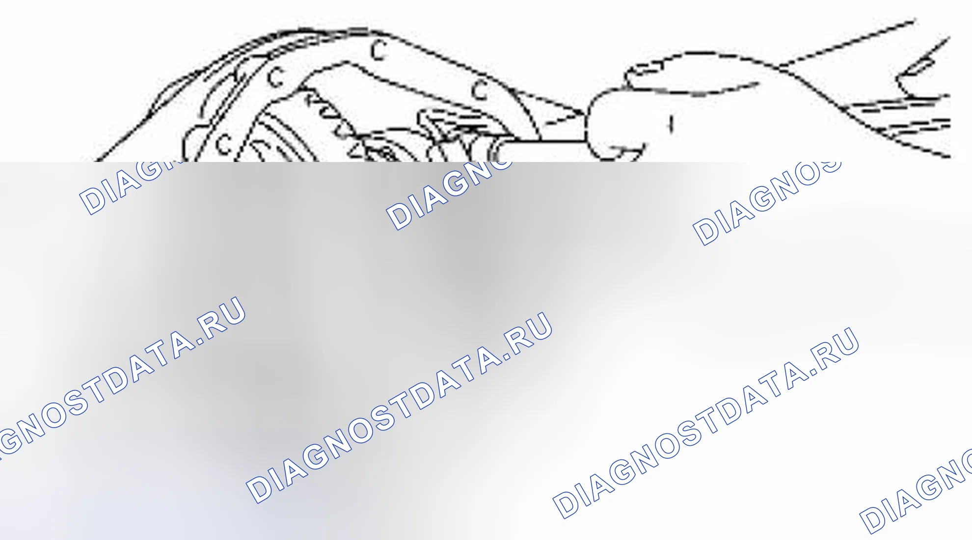 Рис. 138. Suzuki Equator I