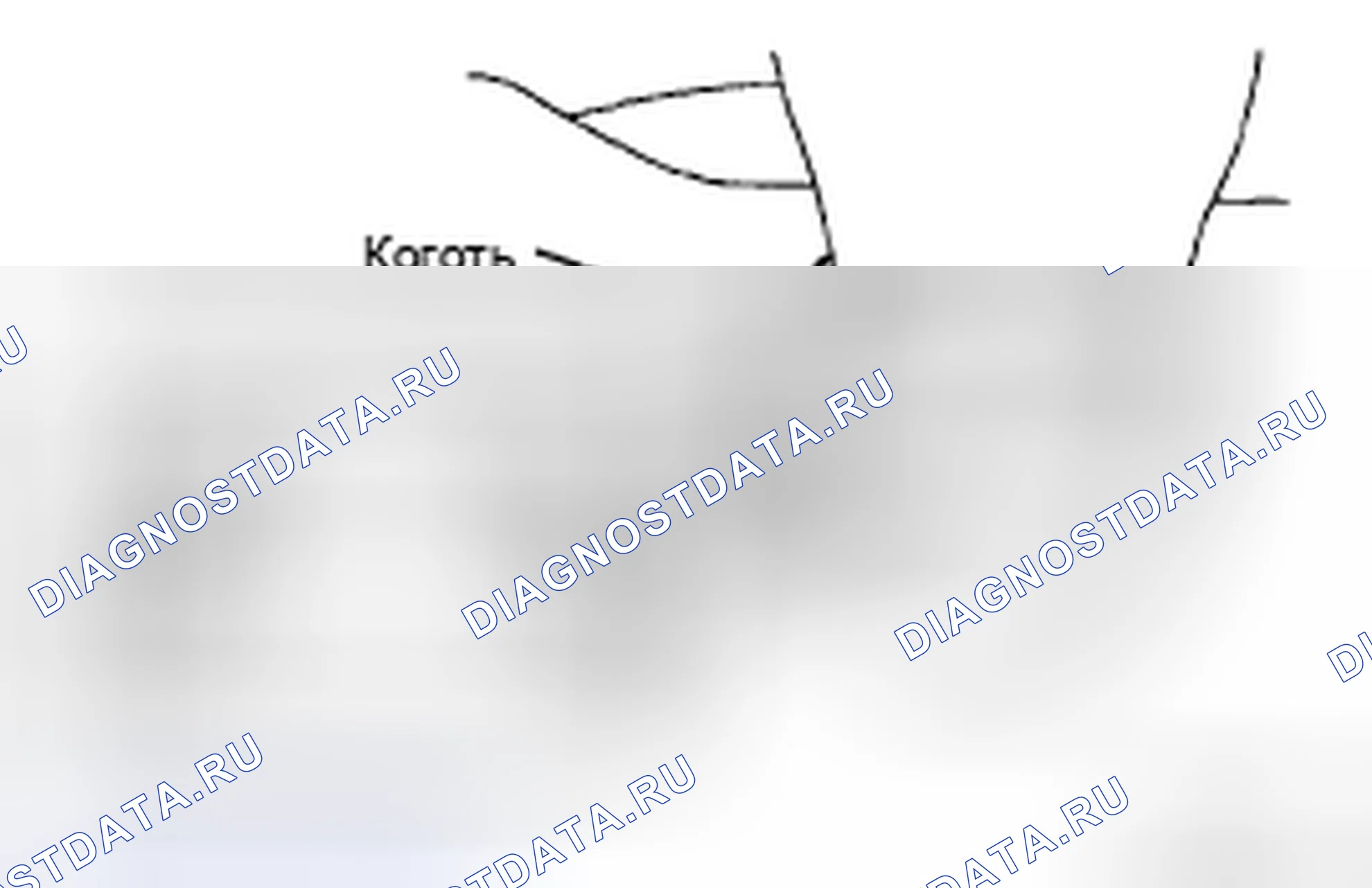 Рис. 10: ДЕМОНТАЖ. Honda Accord IX