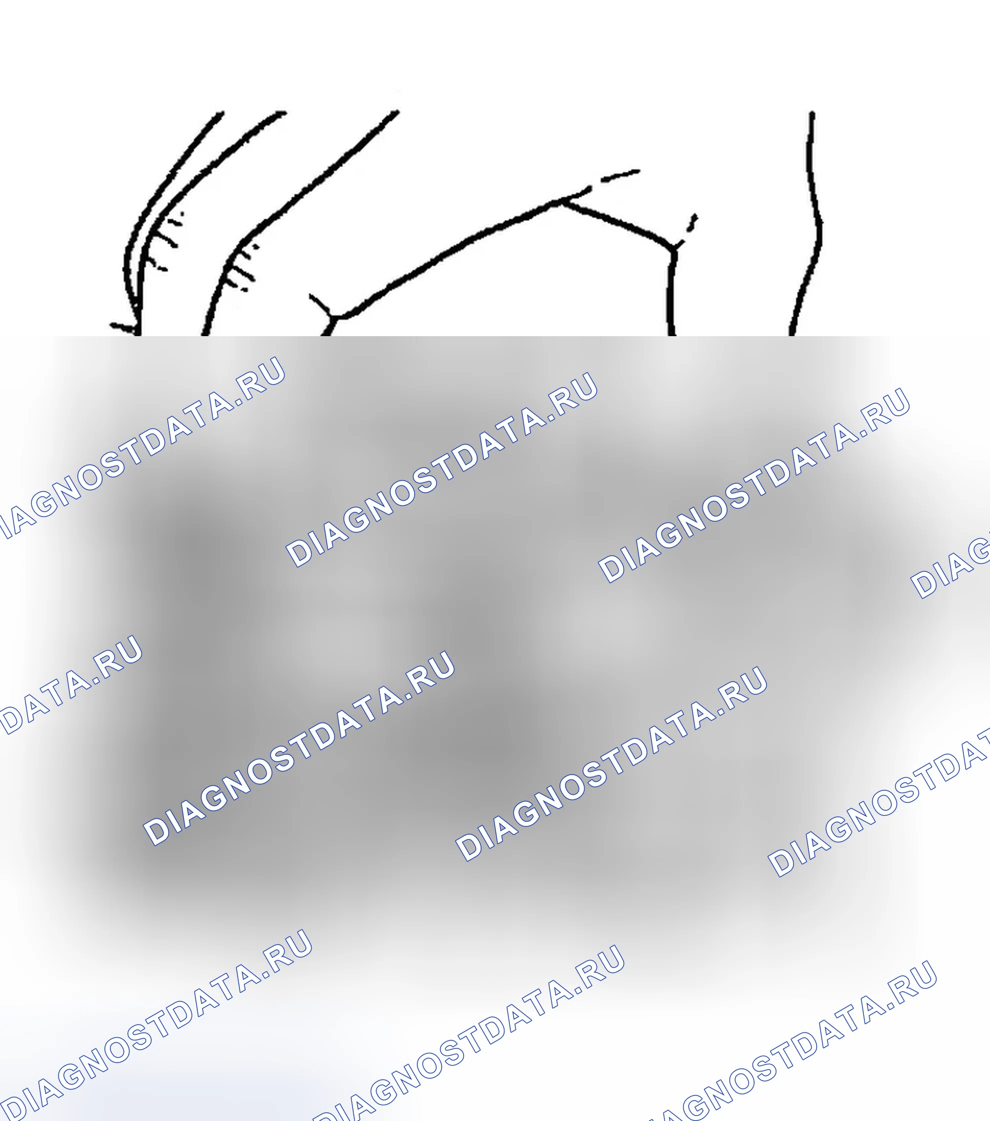 Рис. 164. Ford Explorer Sport Trac I