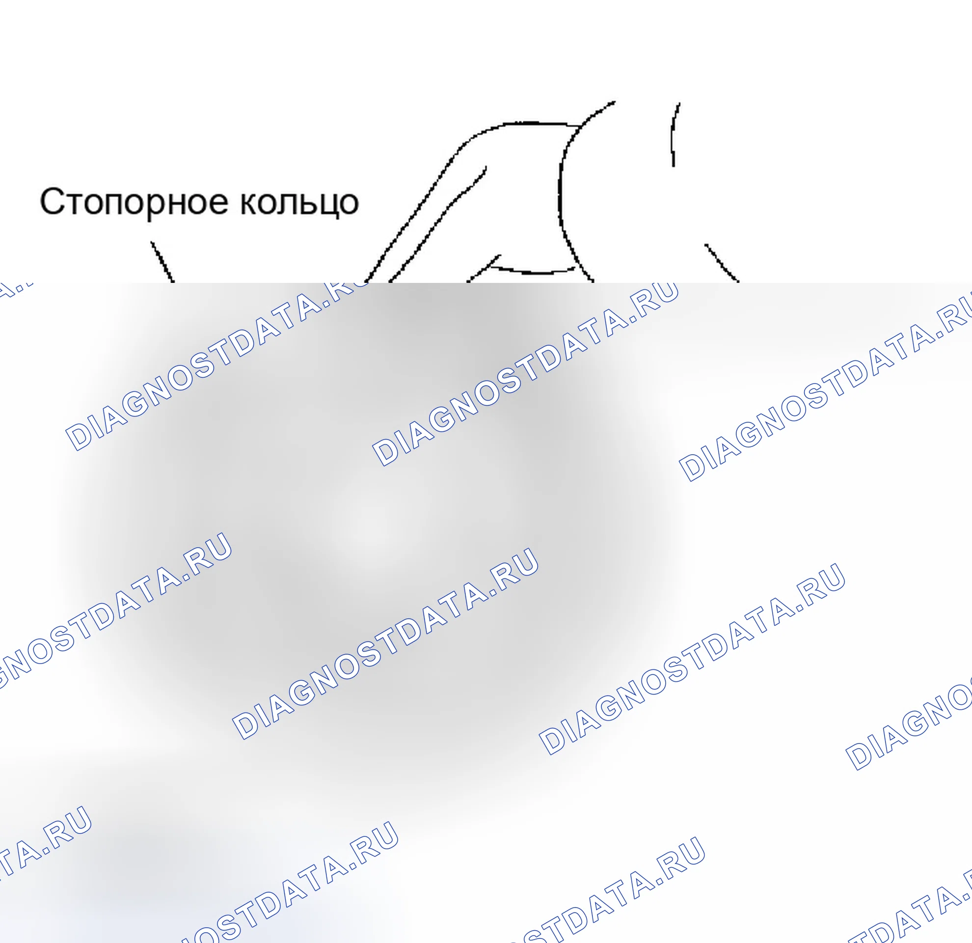 Рис. 683. Infiniti Q45 III