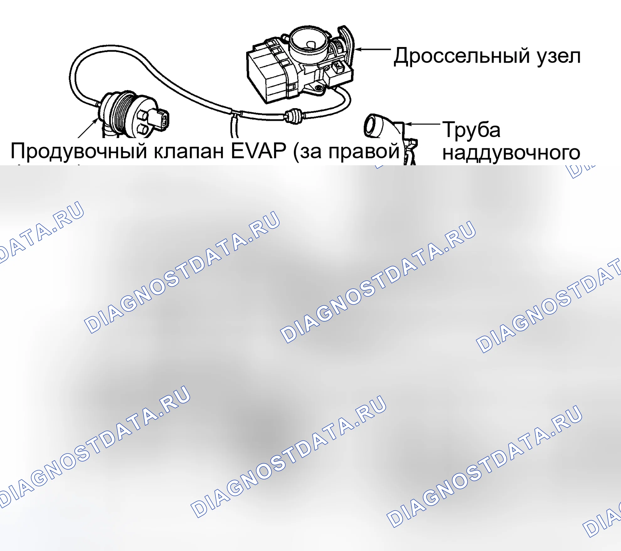 Рис. 15: расшифровка кода ошибки P0441: Неисправность продувочного клапана EVAP. Kia Picanto II