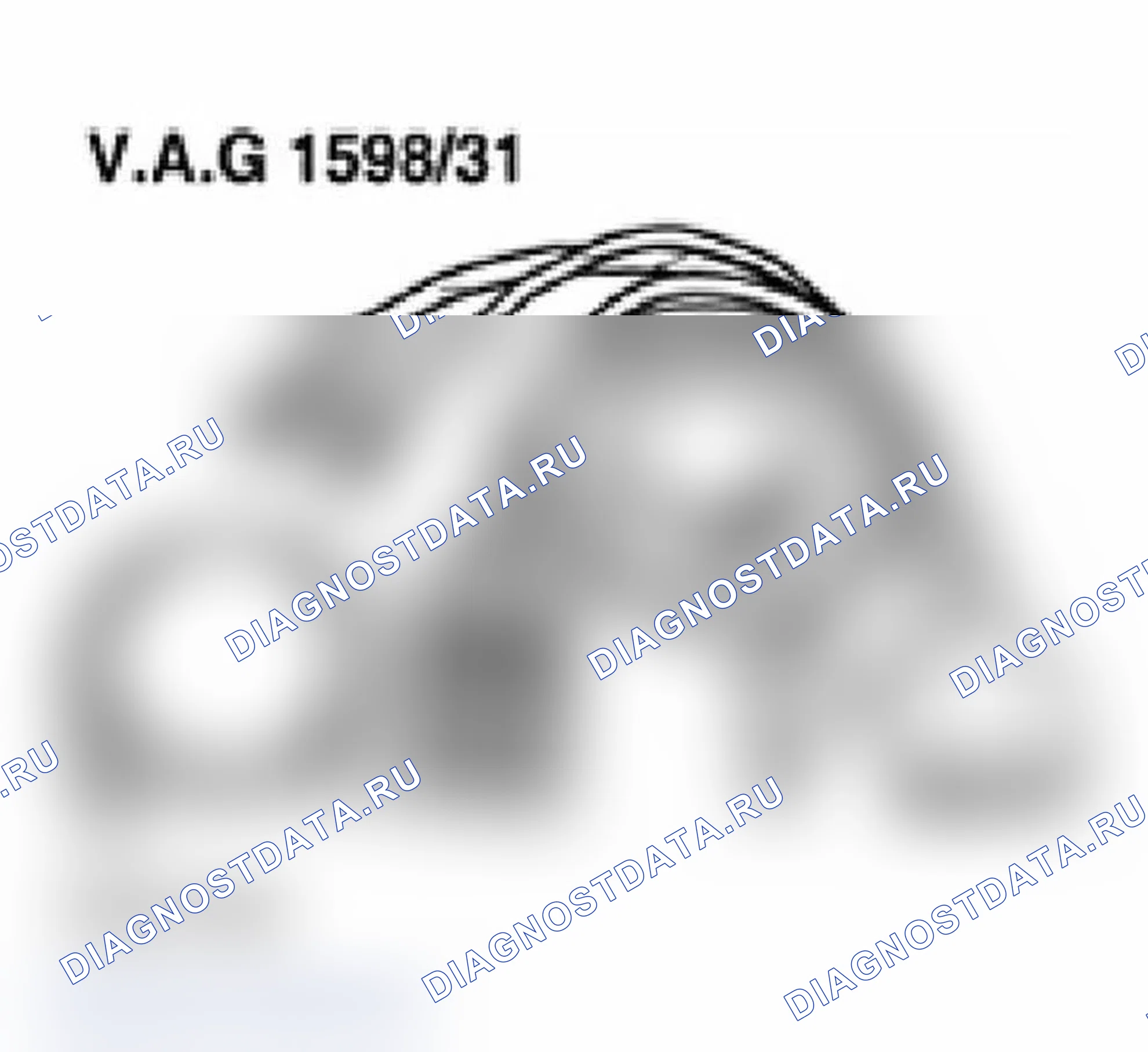 Рис. 169: Идентификация VAG1598/31 испытательной камеры. Audi A6 C5
