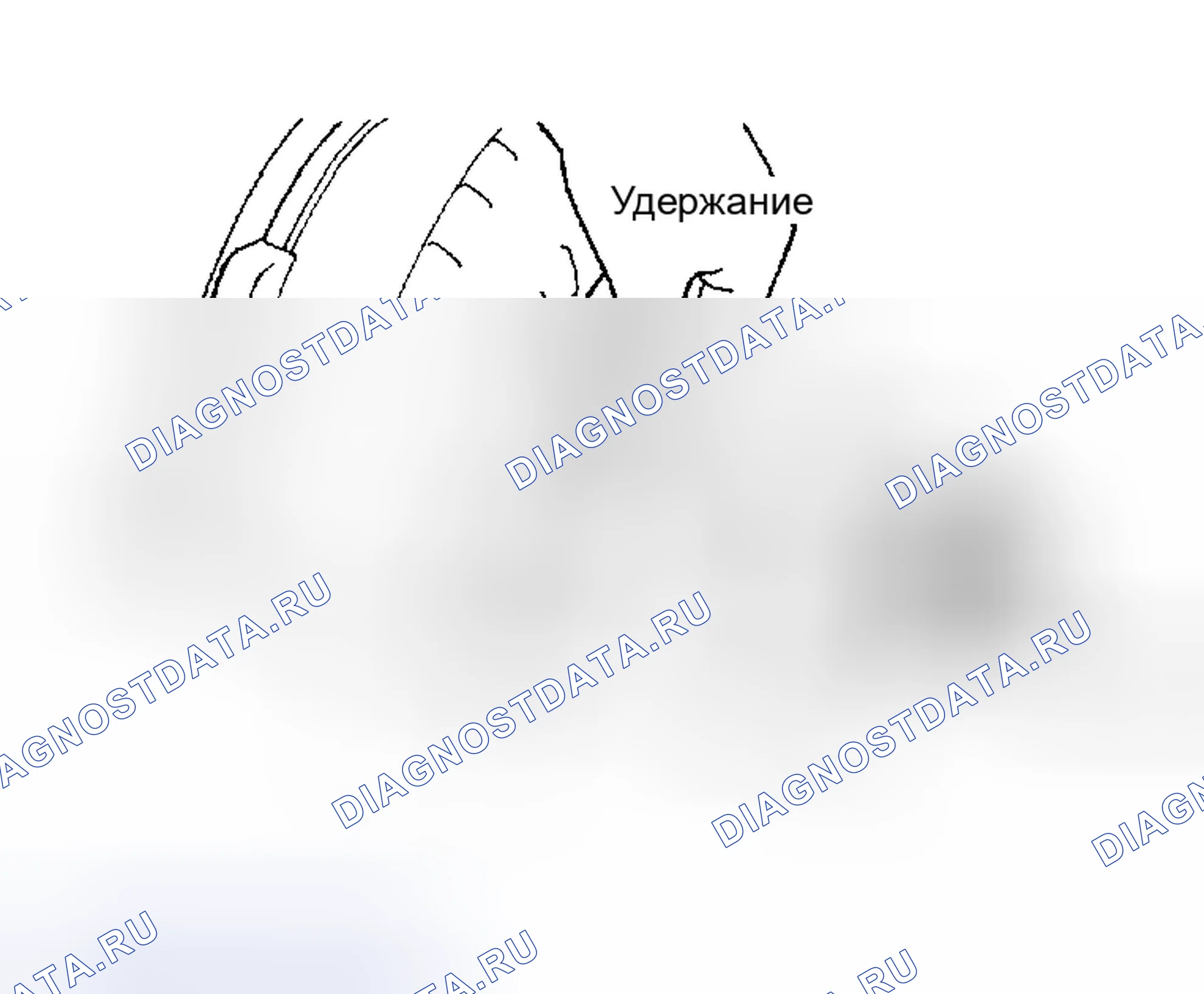 Рис. 71. Kia Sorento I