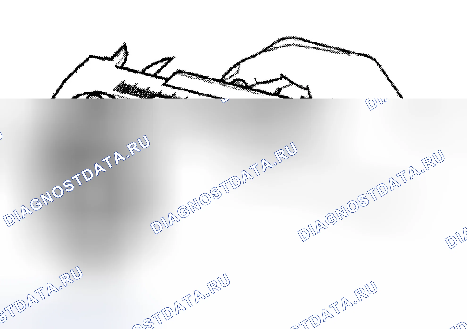 Рис. 7. Hyundai Tiburon II