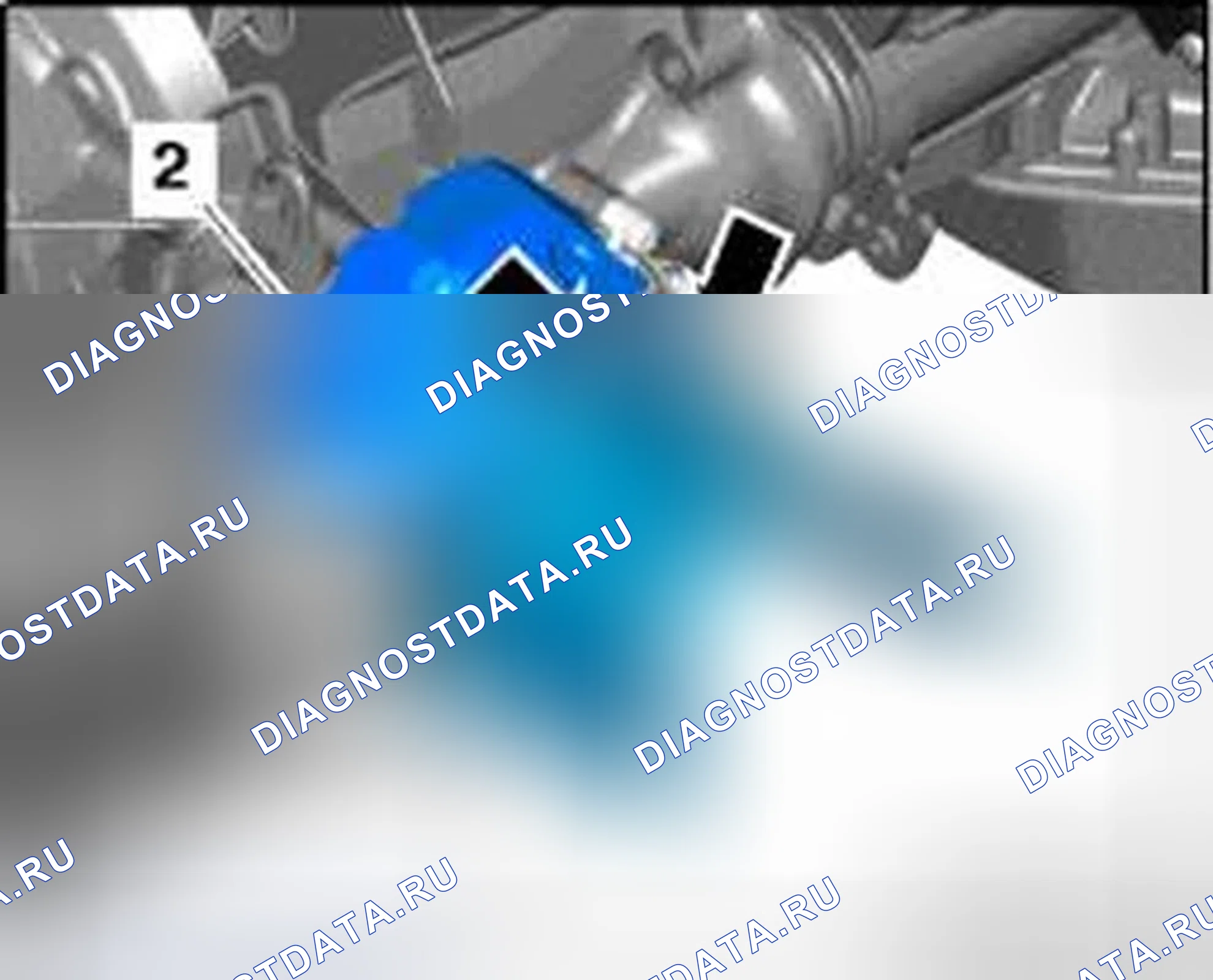 Рис. 318: Тепловой экран правого приводного вала. Audi A8 D3 рестайлинг 2