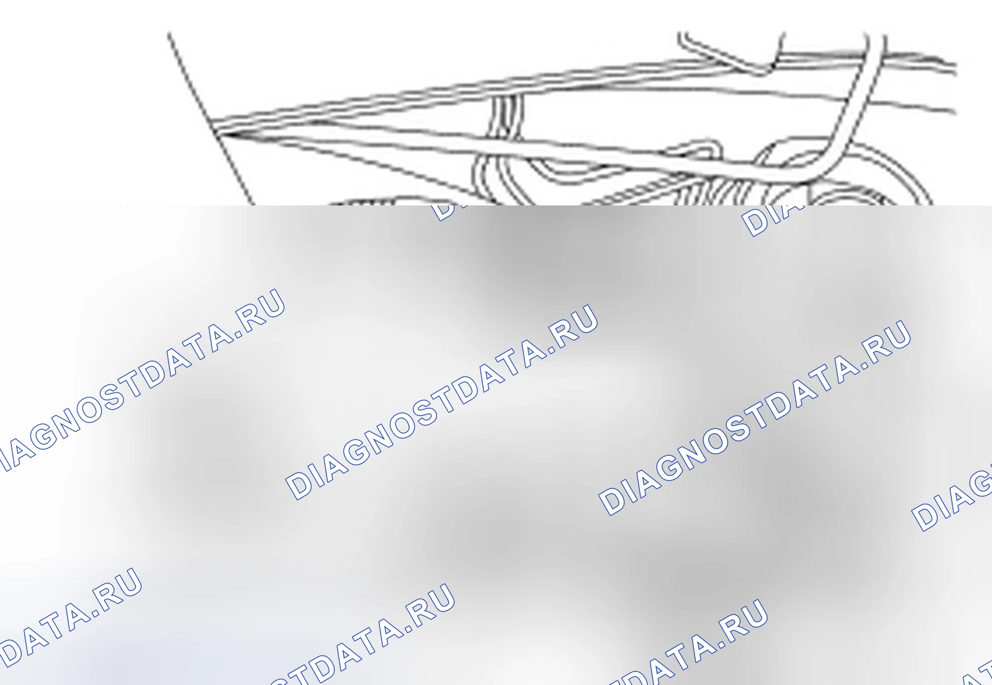 Рис. 699. Ford Freestyle I