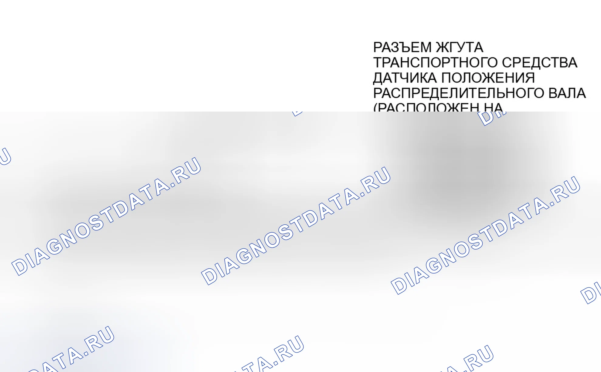 Рис. 42: Цепи жгута проводов CID (зонд). Ford Contour I