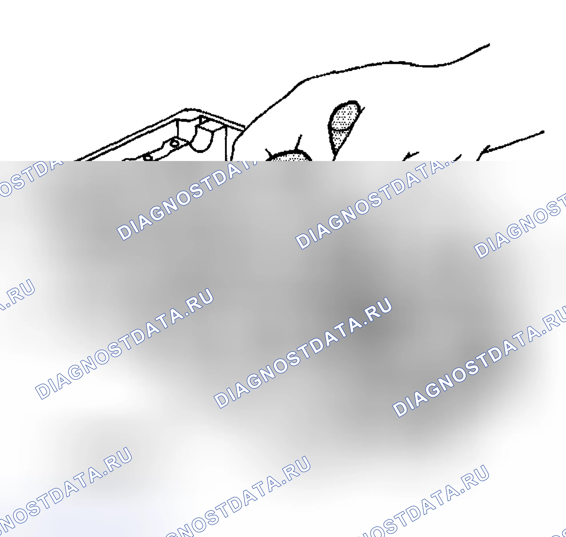 Рис. 1571. Hyundai Terracan I рестайлинг