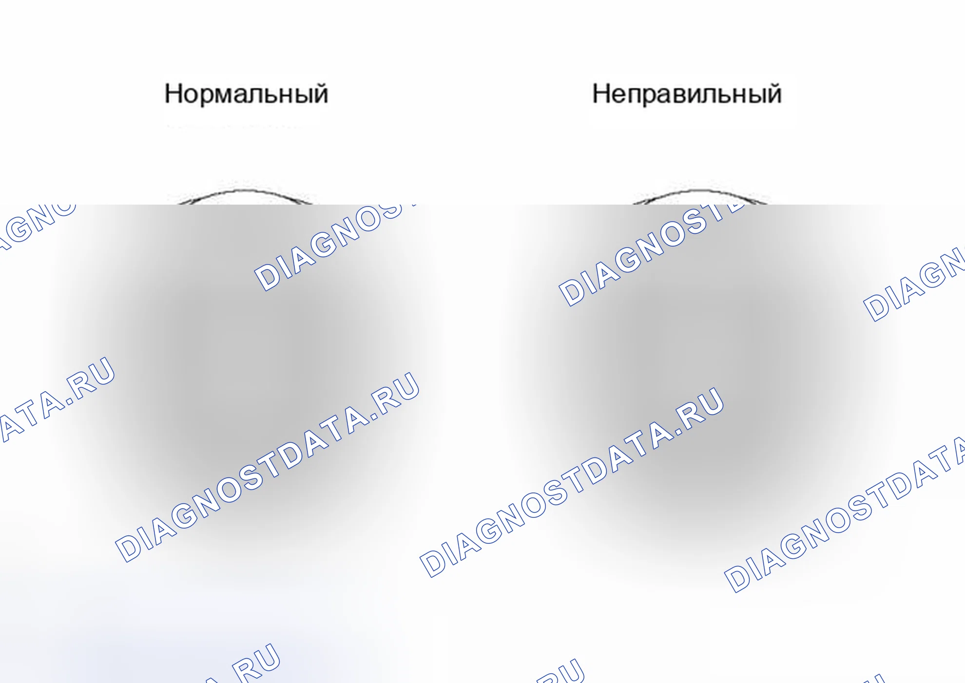 Рис. 2. Toyota Land Cruiser 100 рестайлинг 2