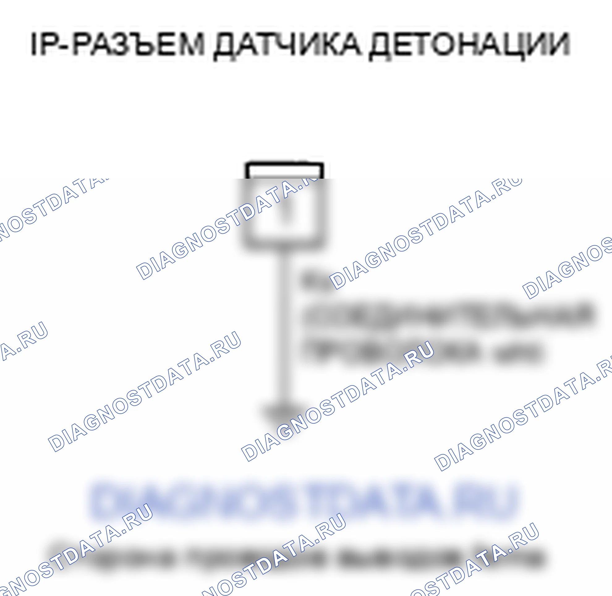 Рис. 419. Honda Element YH2 рестайлинг 2