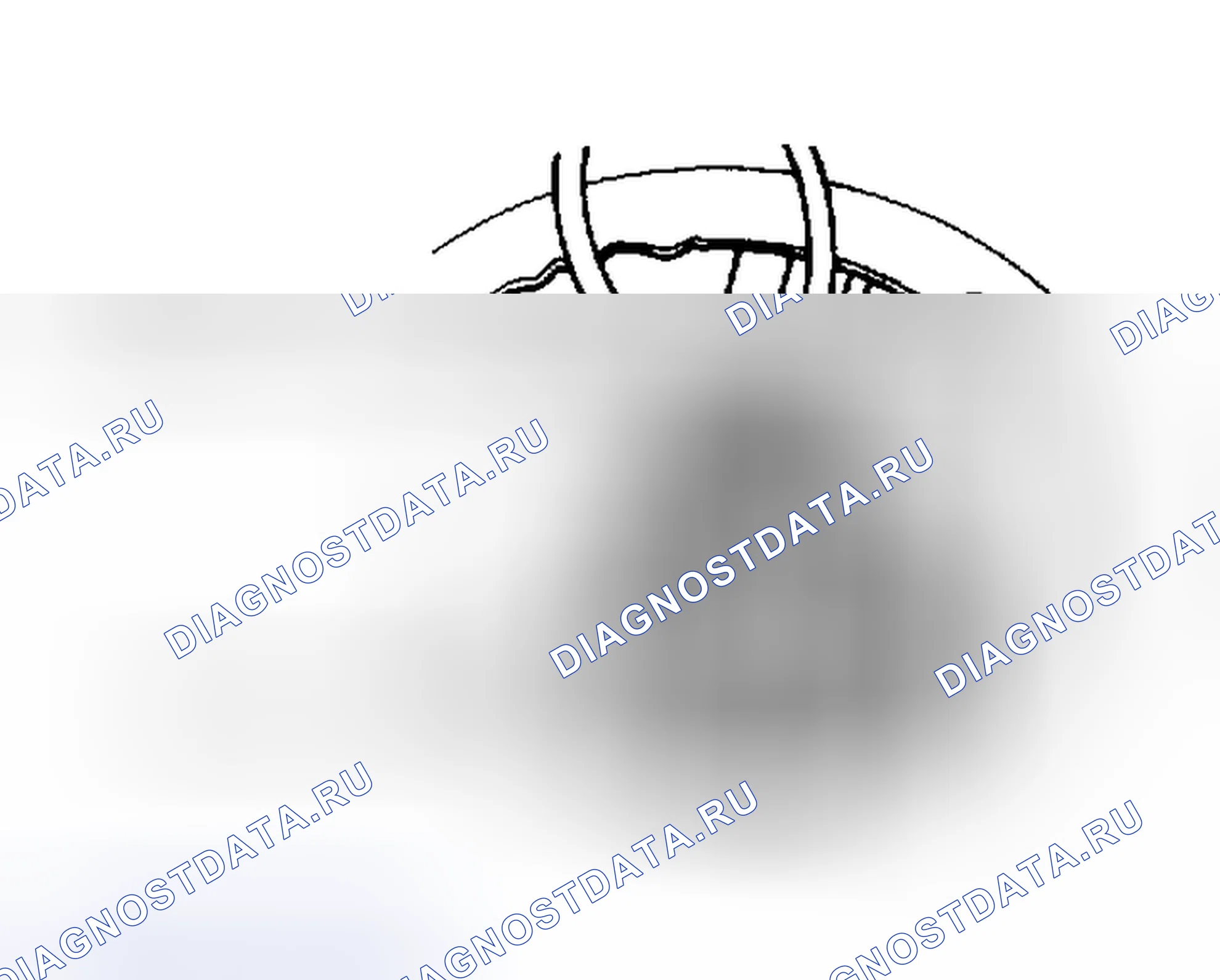 Рис. 3. Volkswagen Fox G1