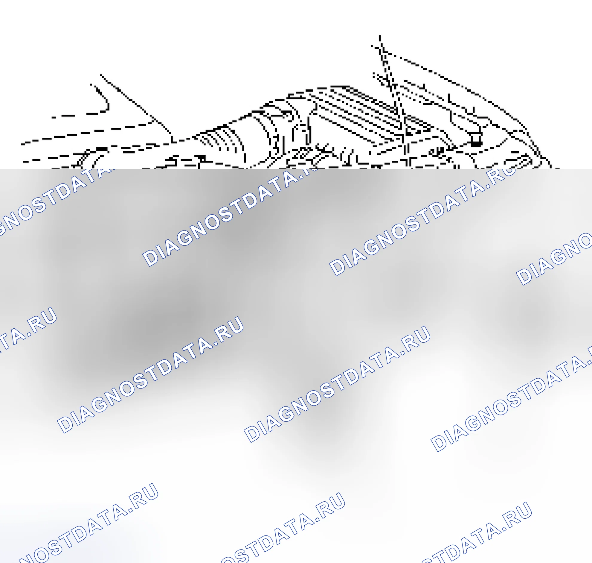Рис. 13. Isuzu Axiom I