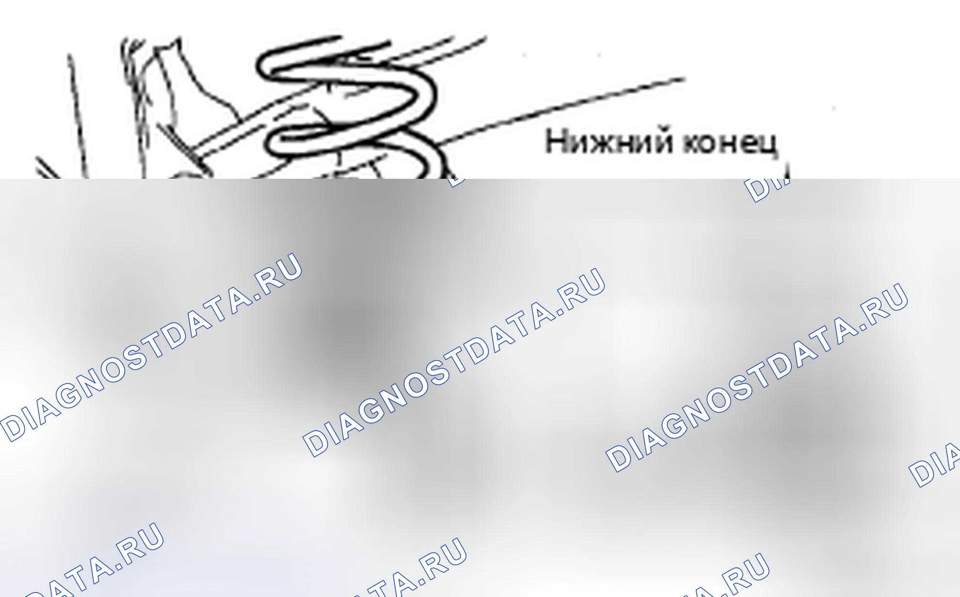 Рис. 43. Toyota Sienna II рестайлинг