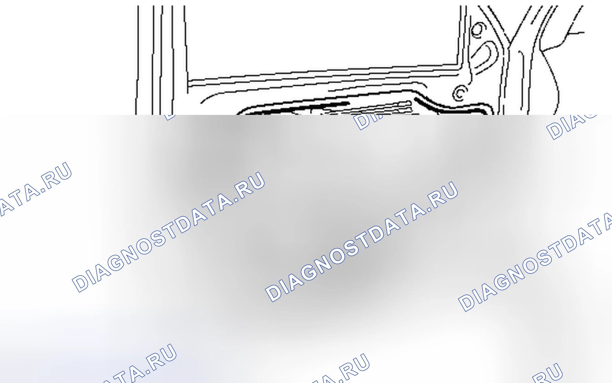 Рис. 173. Toyota Tacoma II рестайлинг