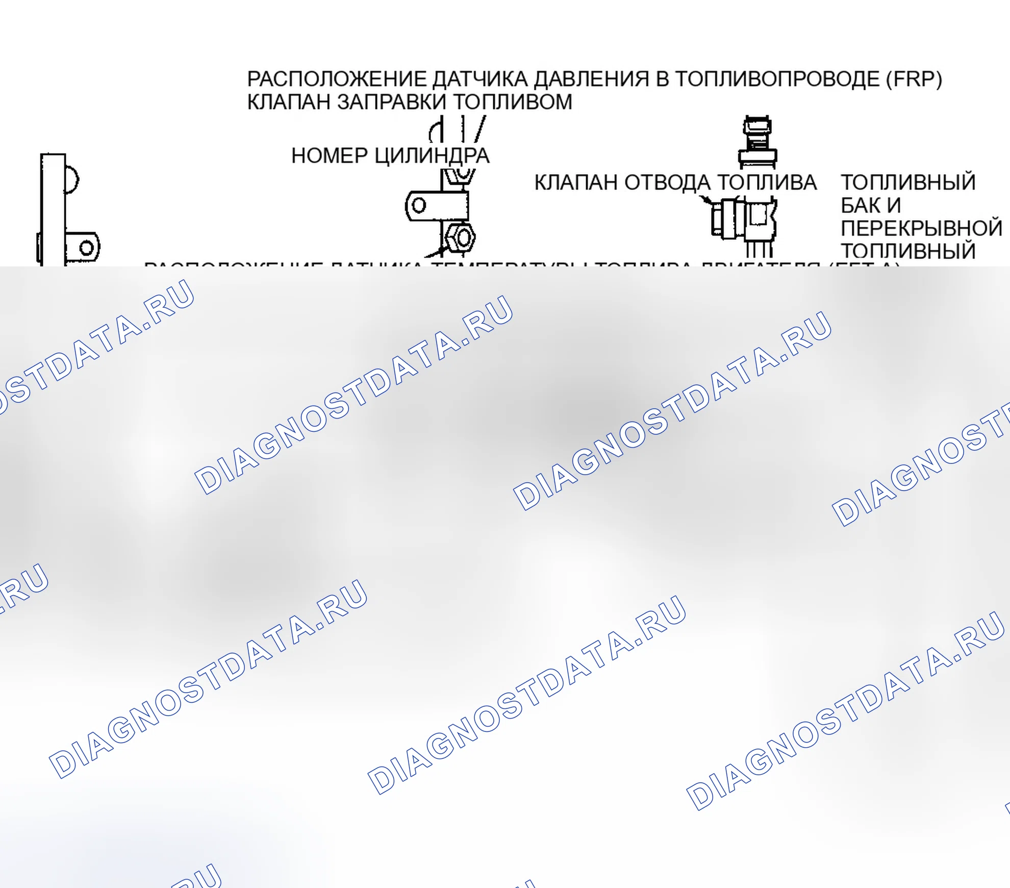 Рис. 235: Компоненты топливной системы ПГ (пикап). Ford Pickup F250 