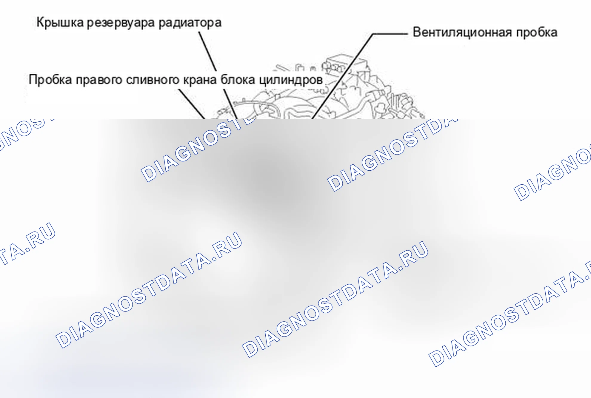 Рис. 2. Lexus IS F I