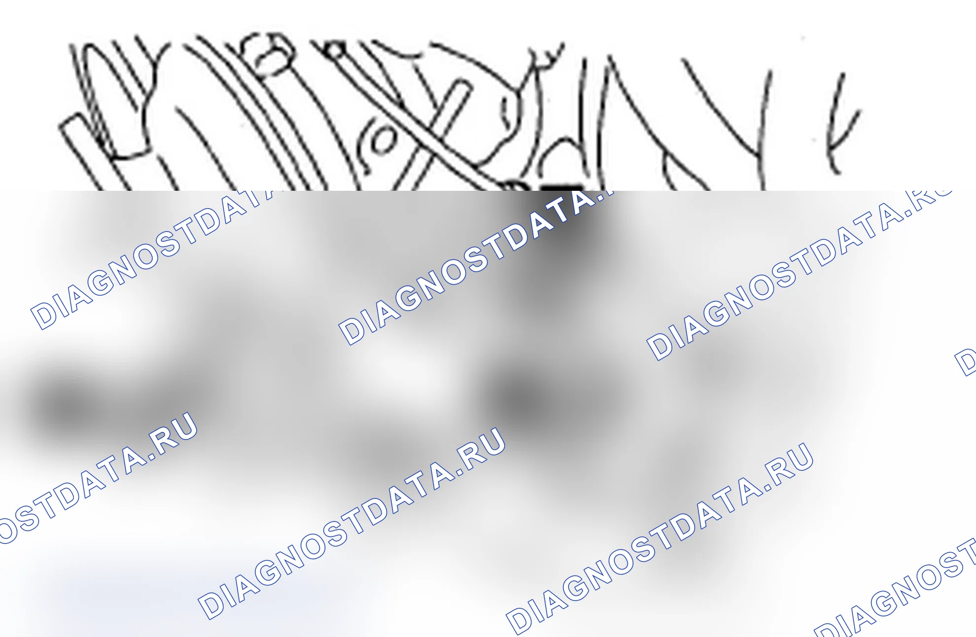 Рис. 269. Subaru Impreza WRX GD/GG рестайлинг 2