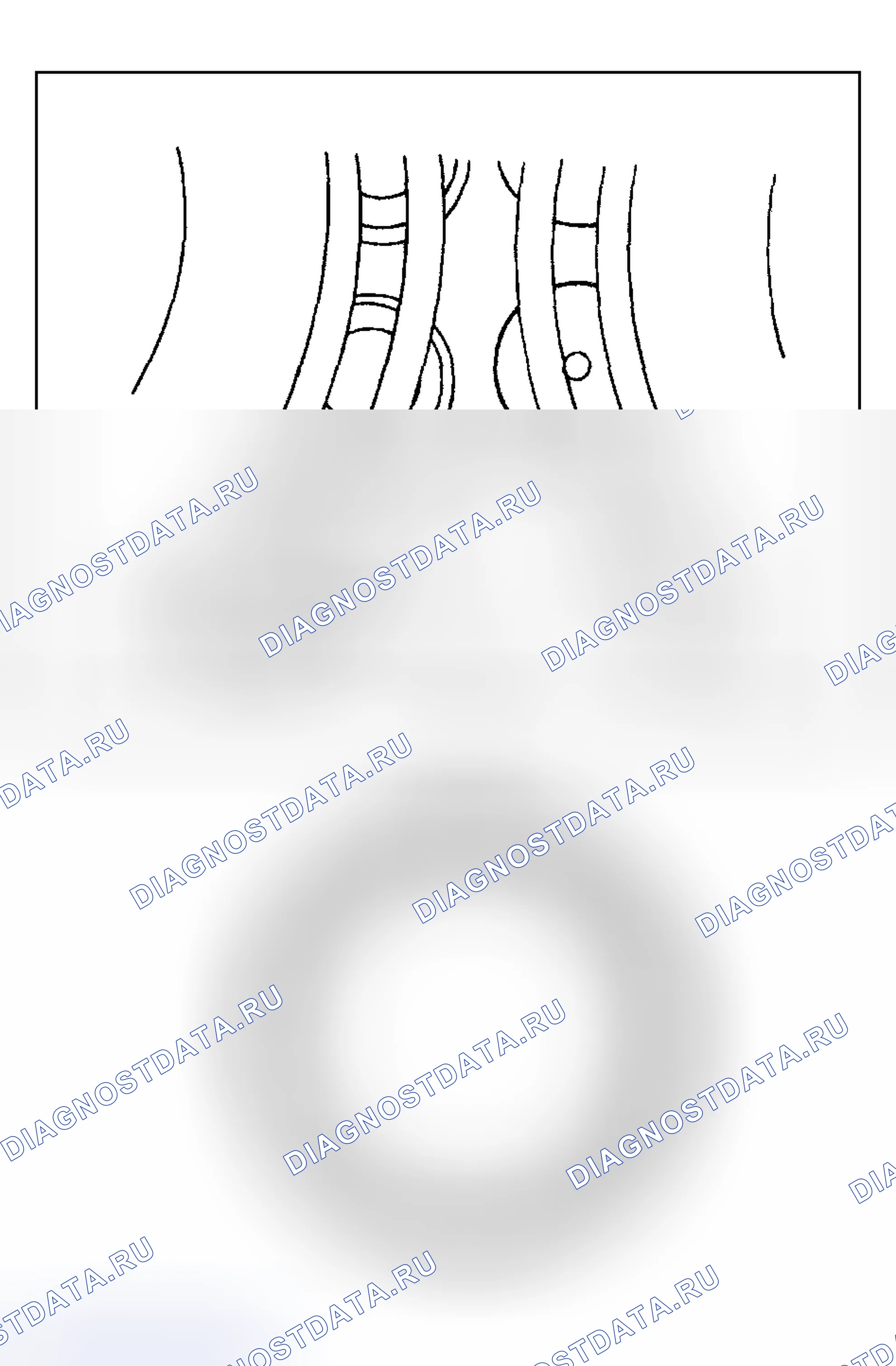 Рис. 806. Ford Pickup F250 Super Duty I