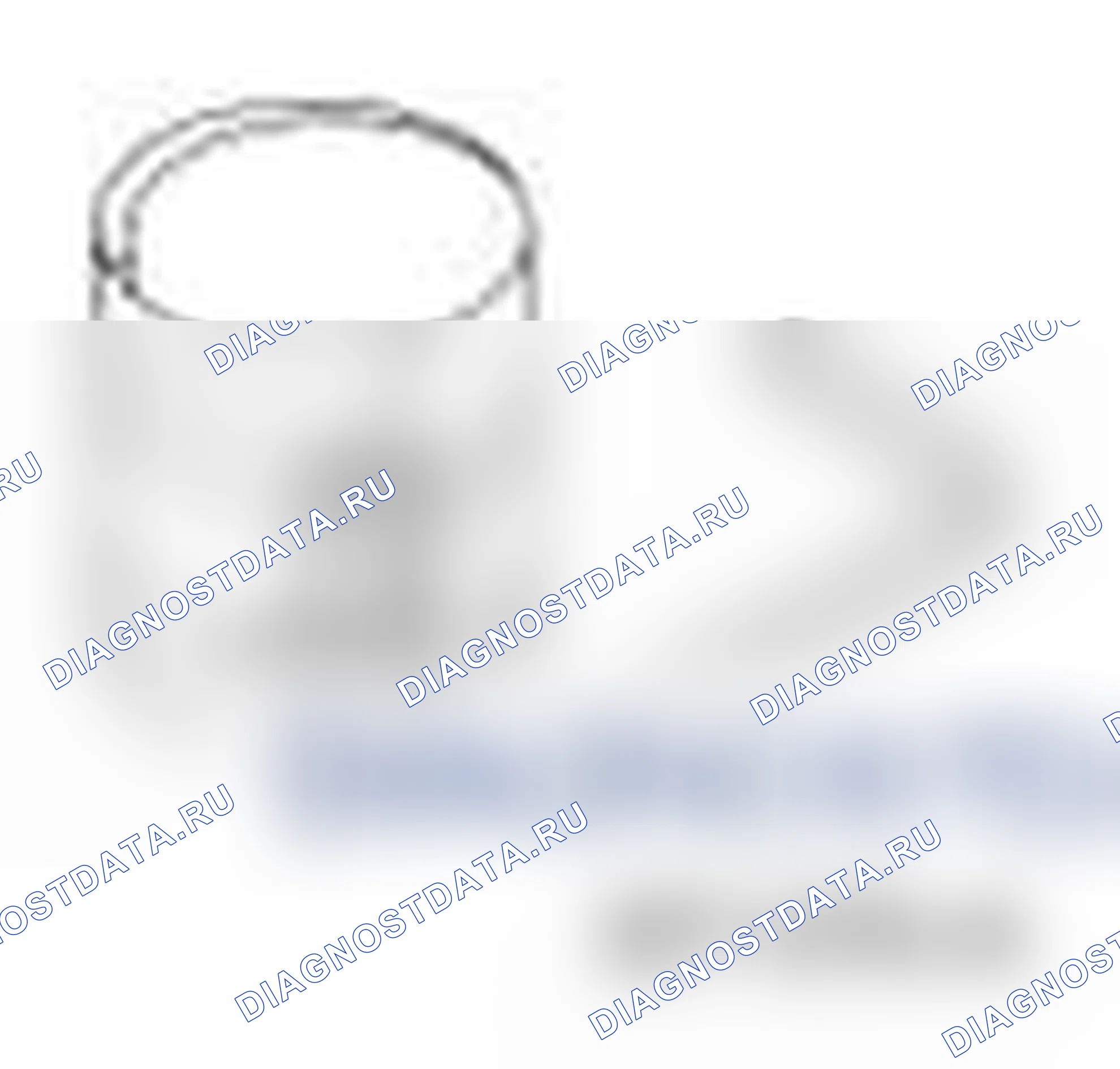 Рис. 311. Ford Transit Connect I рестайлинг