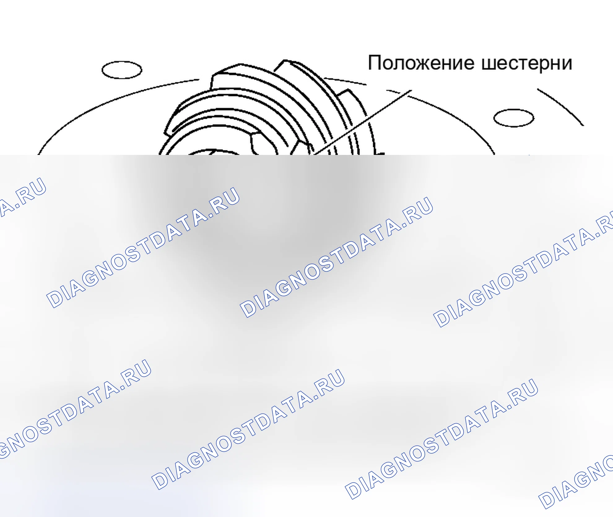 Рис. 382: Шайба регулировки высоты ведущей шестерни. Honda Odyssey I
