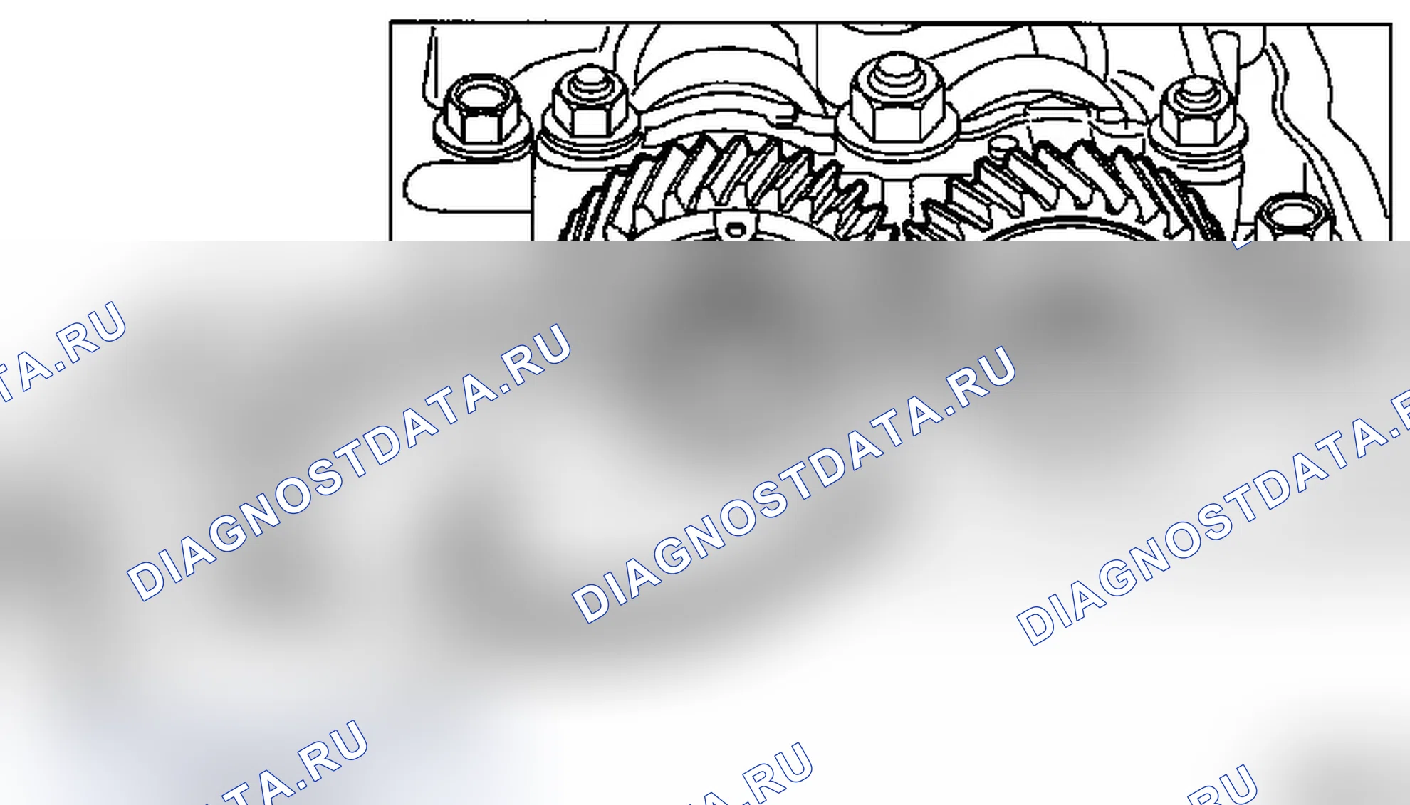 Распределительные валы Y 17 DT. Opel Astra G