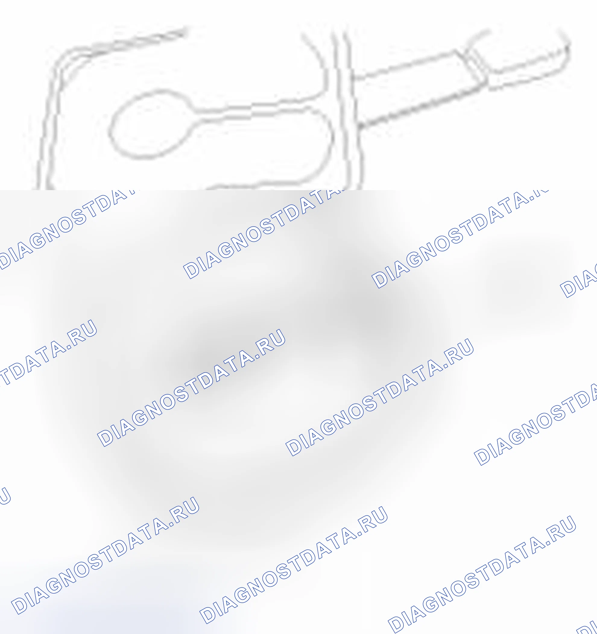 Рис. 80. Geely SC7 I
